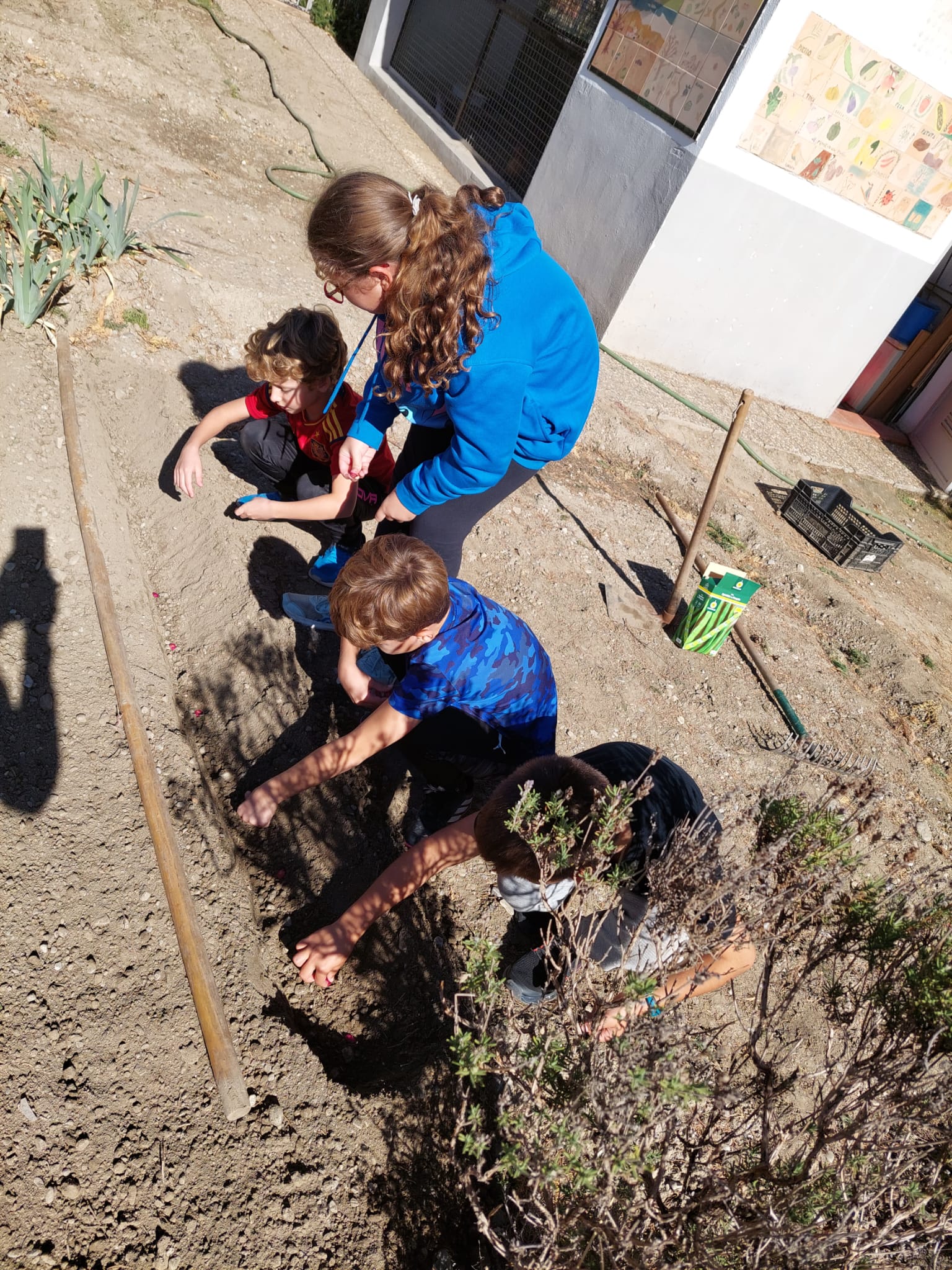 WhatsApp Image 2023-10-27 at 21.13.01-2