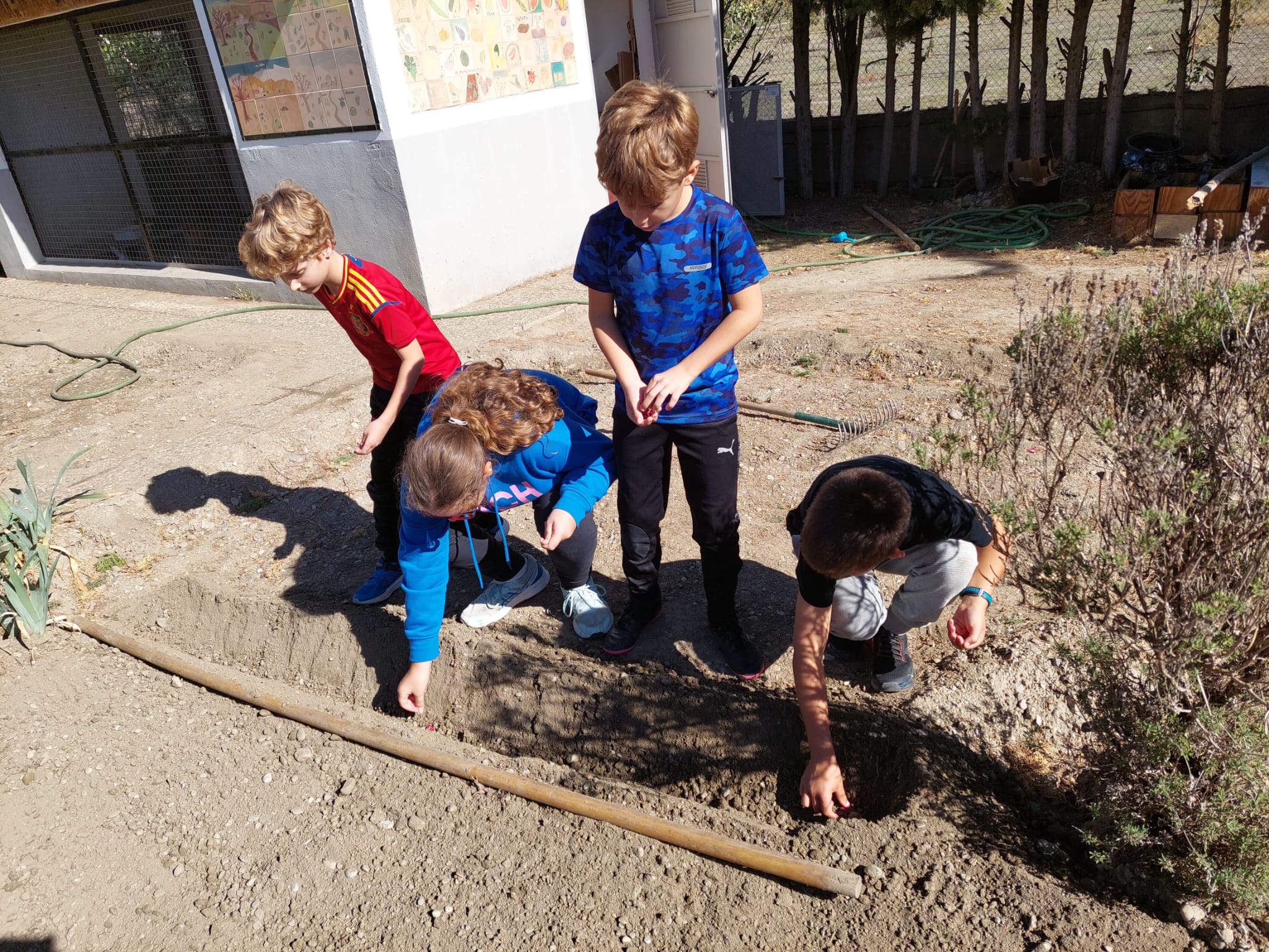 WhatsApp Image 2023-10-27 at 21.13.01