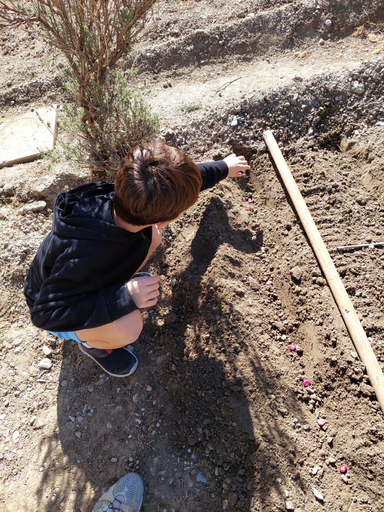 WhatsApp Image 2023-10-27 at 21.13.02-2