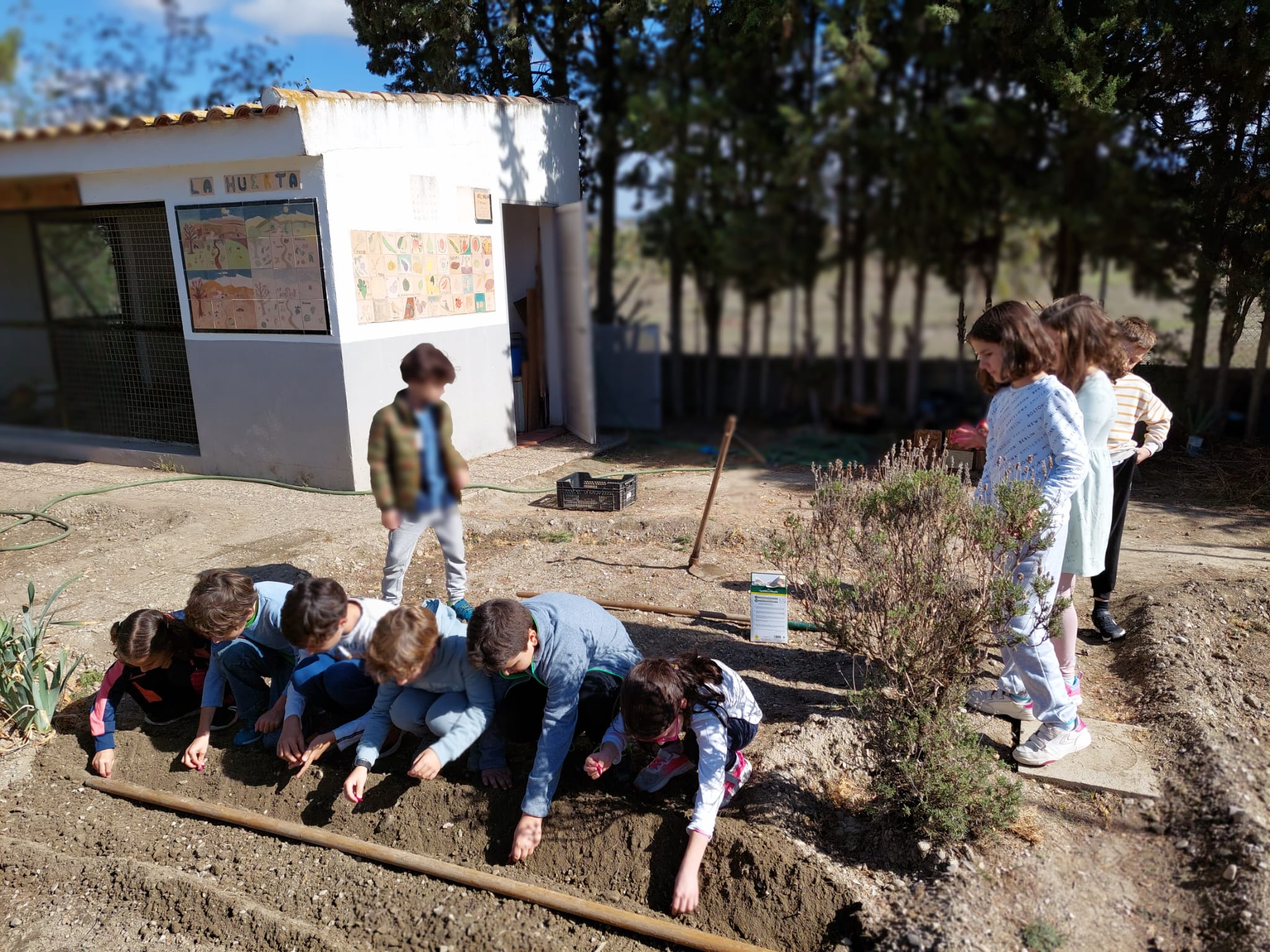 WhatsApp Image 2023-10-27 at 21.13.02-3