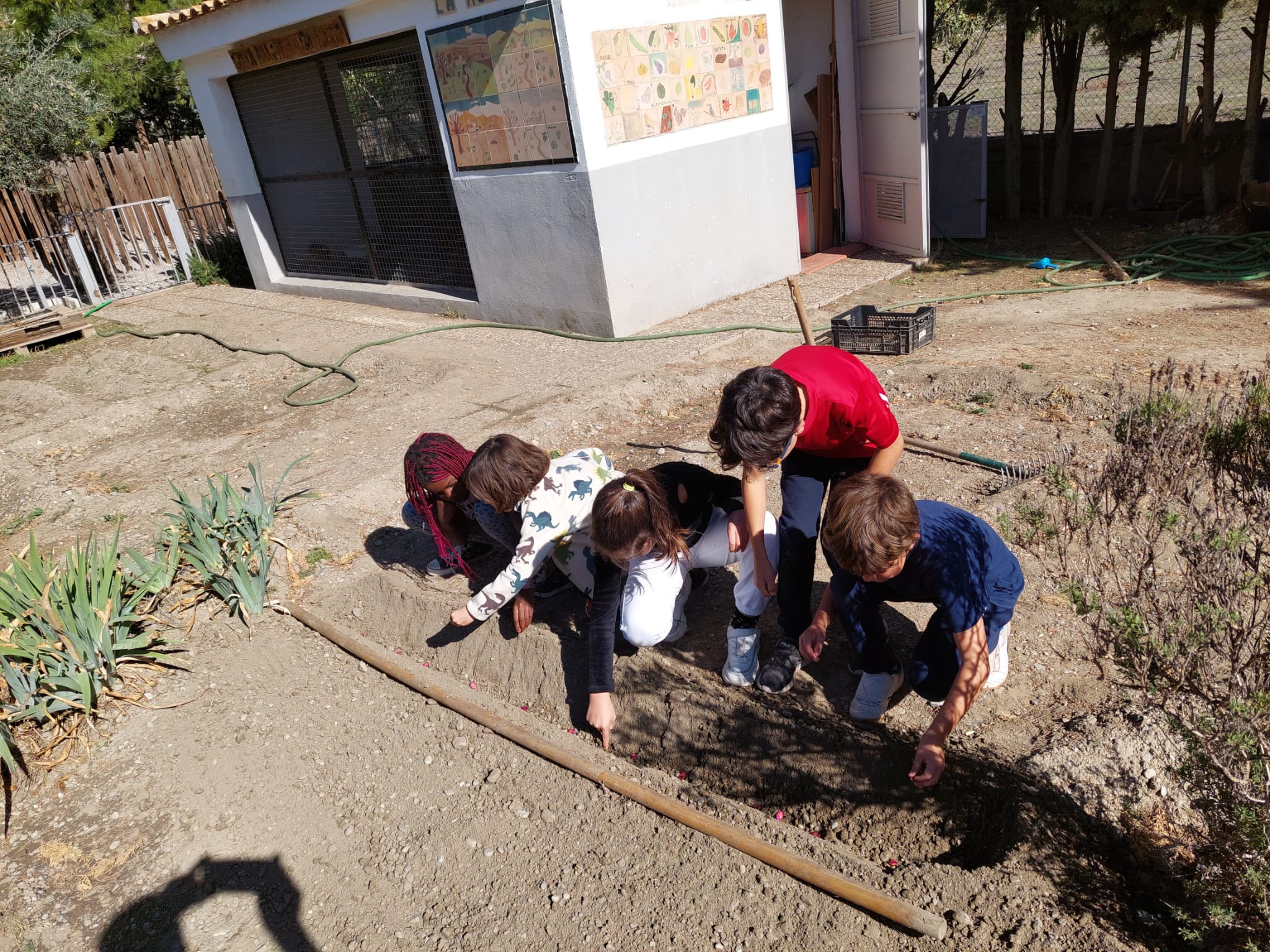 WhatsApp Image 2023-10-27 at 21.13.02