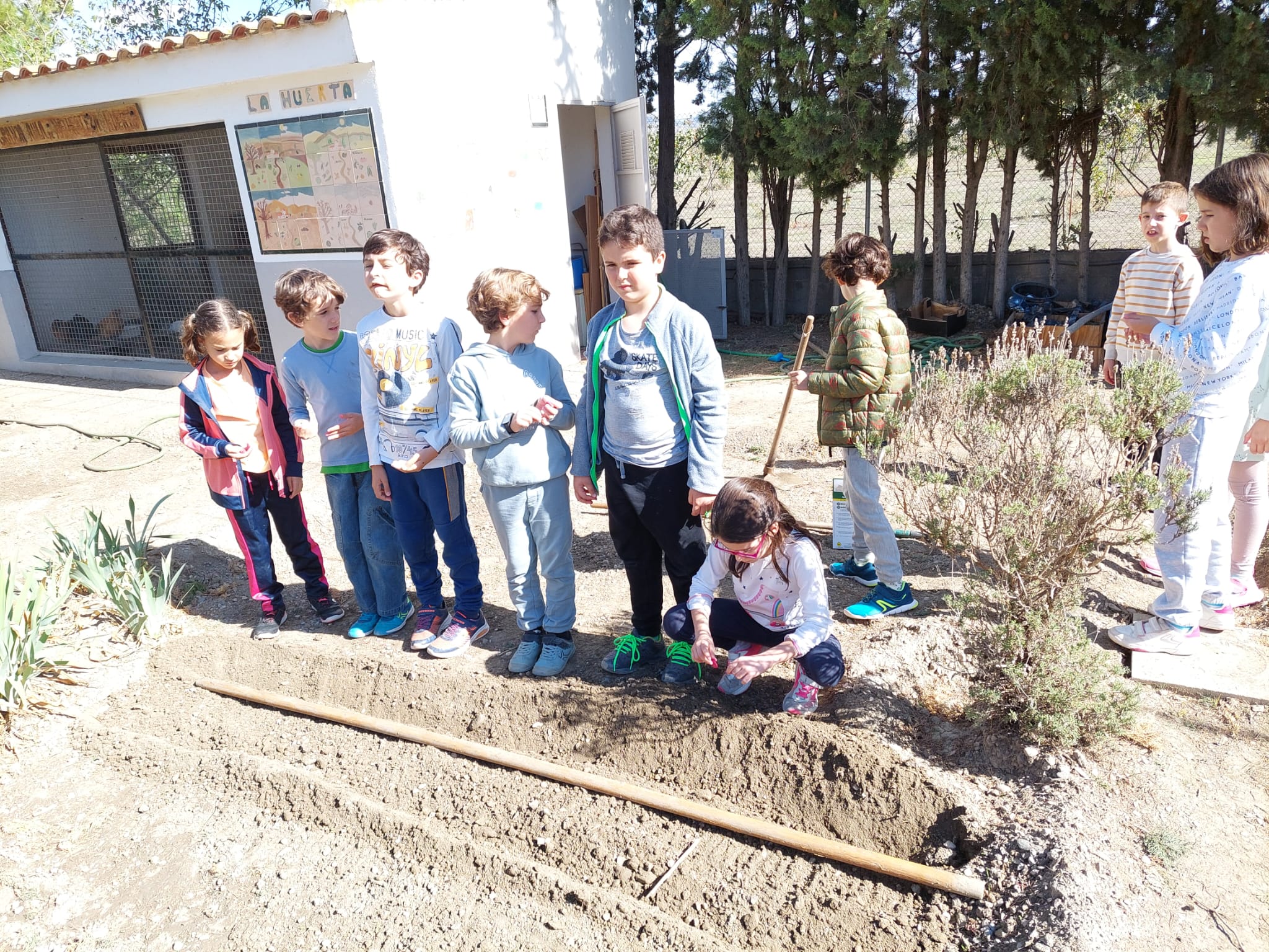 WhatsApp Image 2023-10-27 at 21.13.03