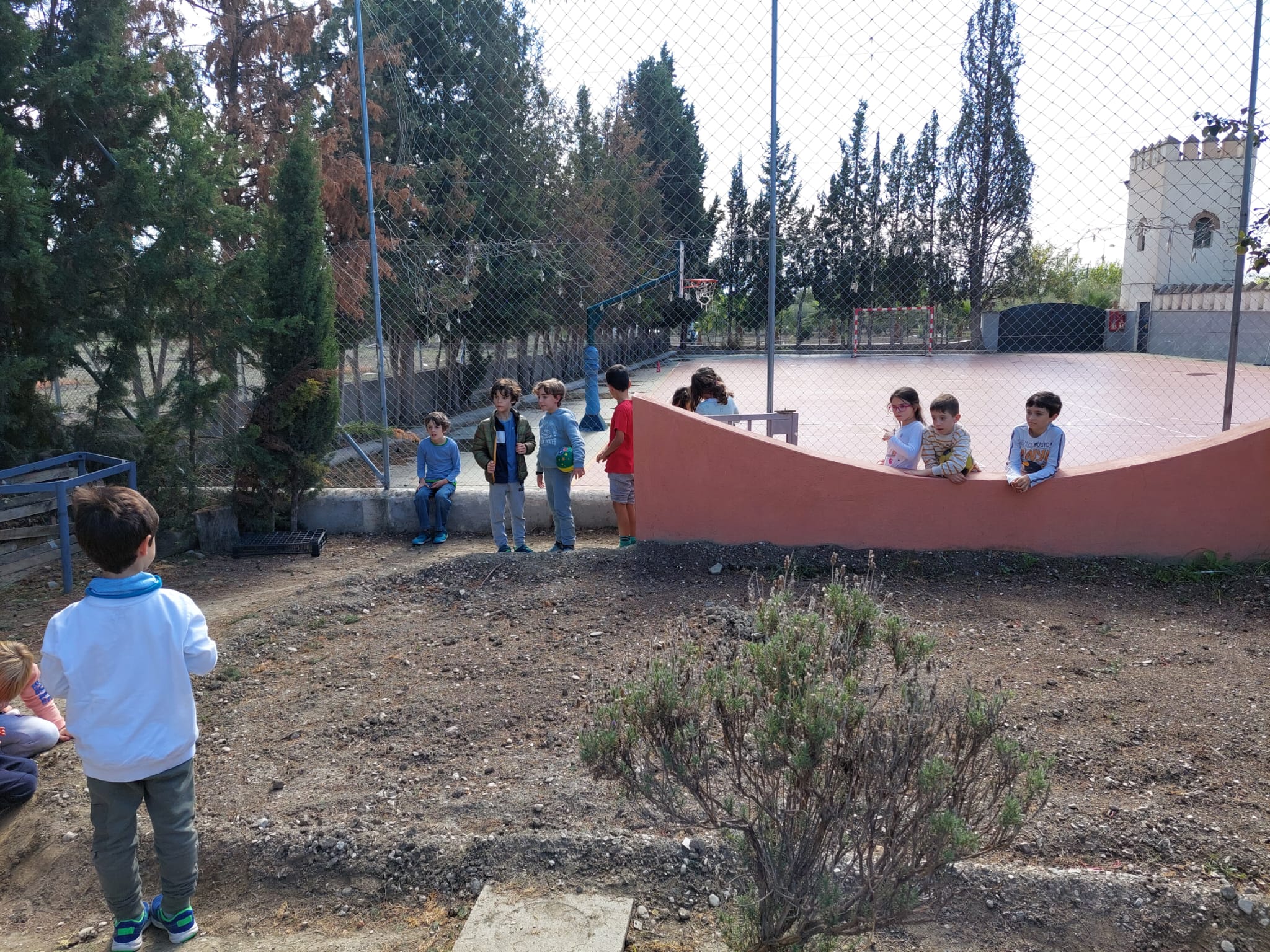 WhatsApp Image 2023-10-27 at 21.13.04