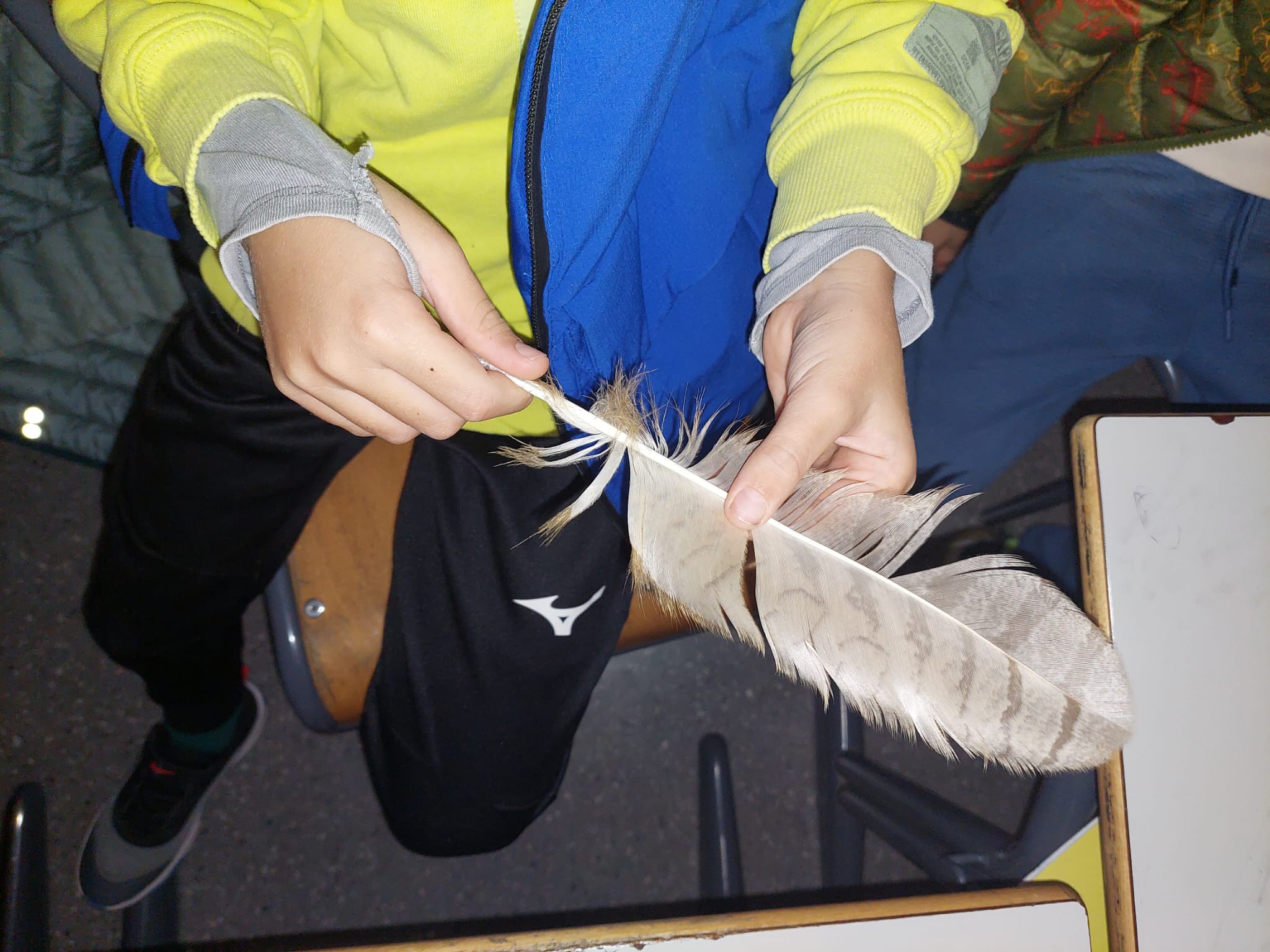 WhatsApp Image 2023-11-03 at 20.02.23