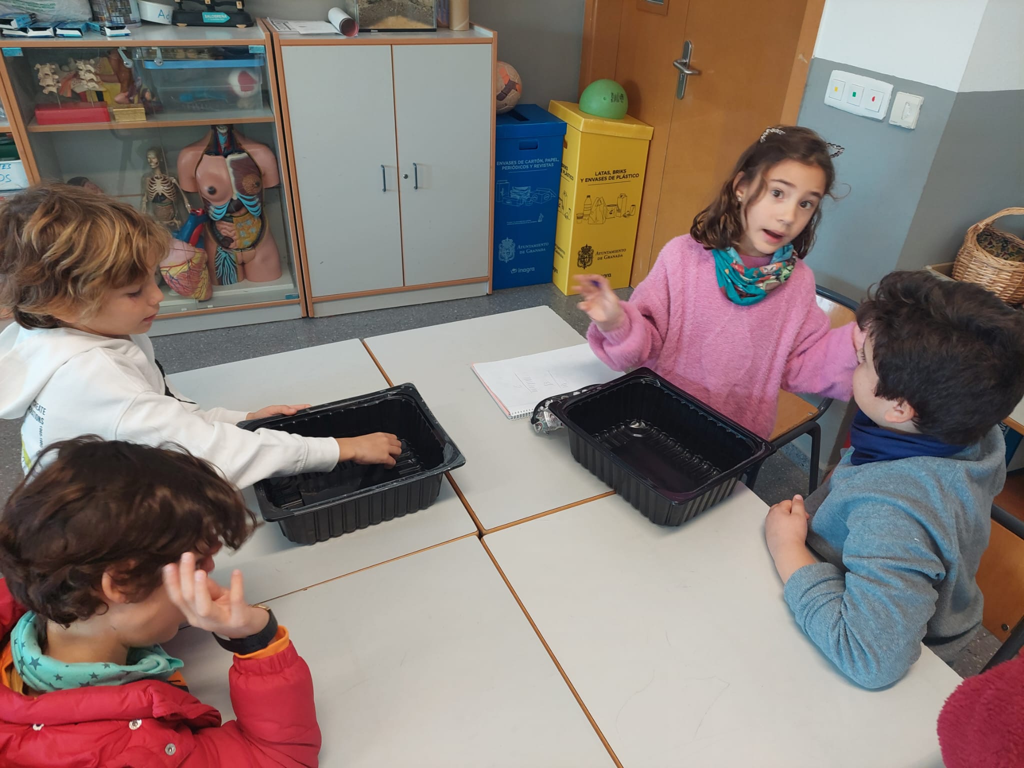 WhatsApp Image 2023-11-28 at 07.50.26-3