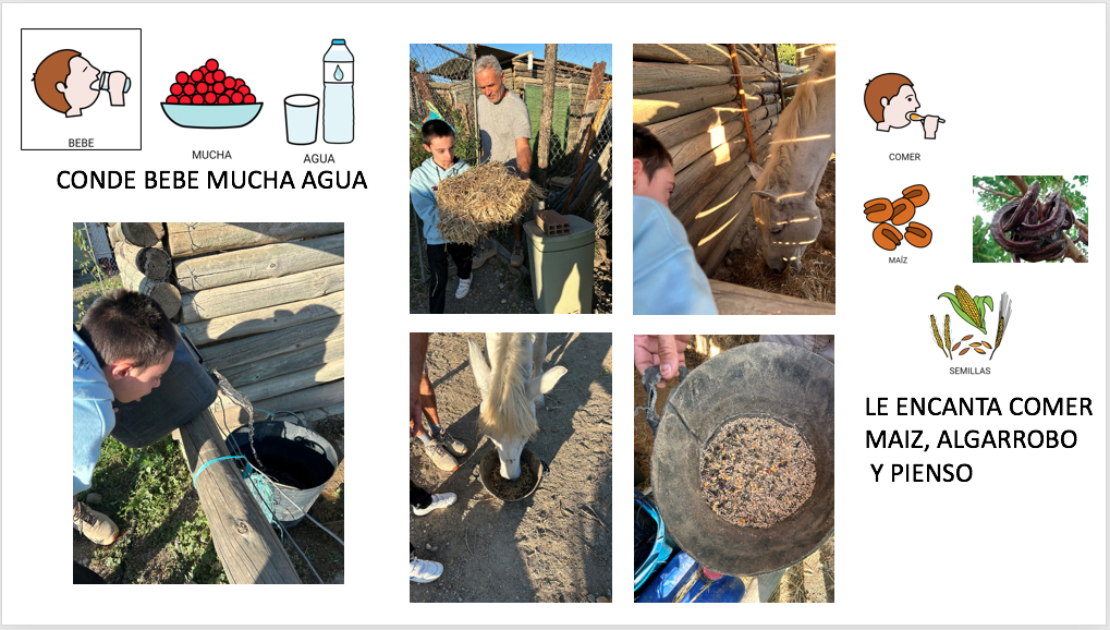 Captura de pantalla 2023-12-02 a las 21.17.06