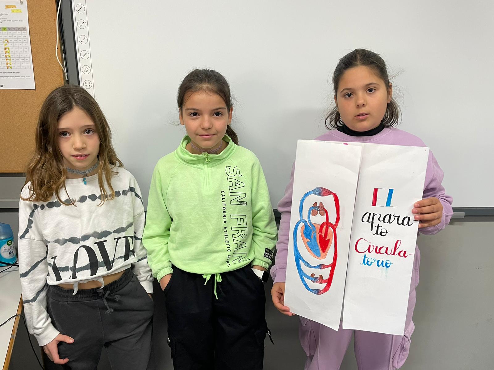 6234f595-3705-4749-8c3b-dc7f40e4e9e7