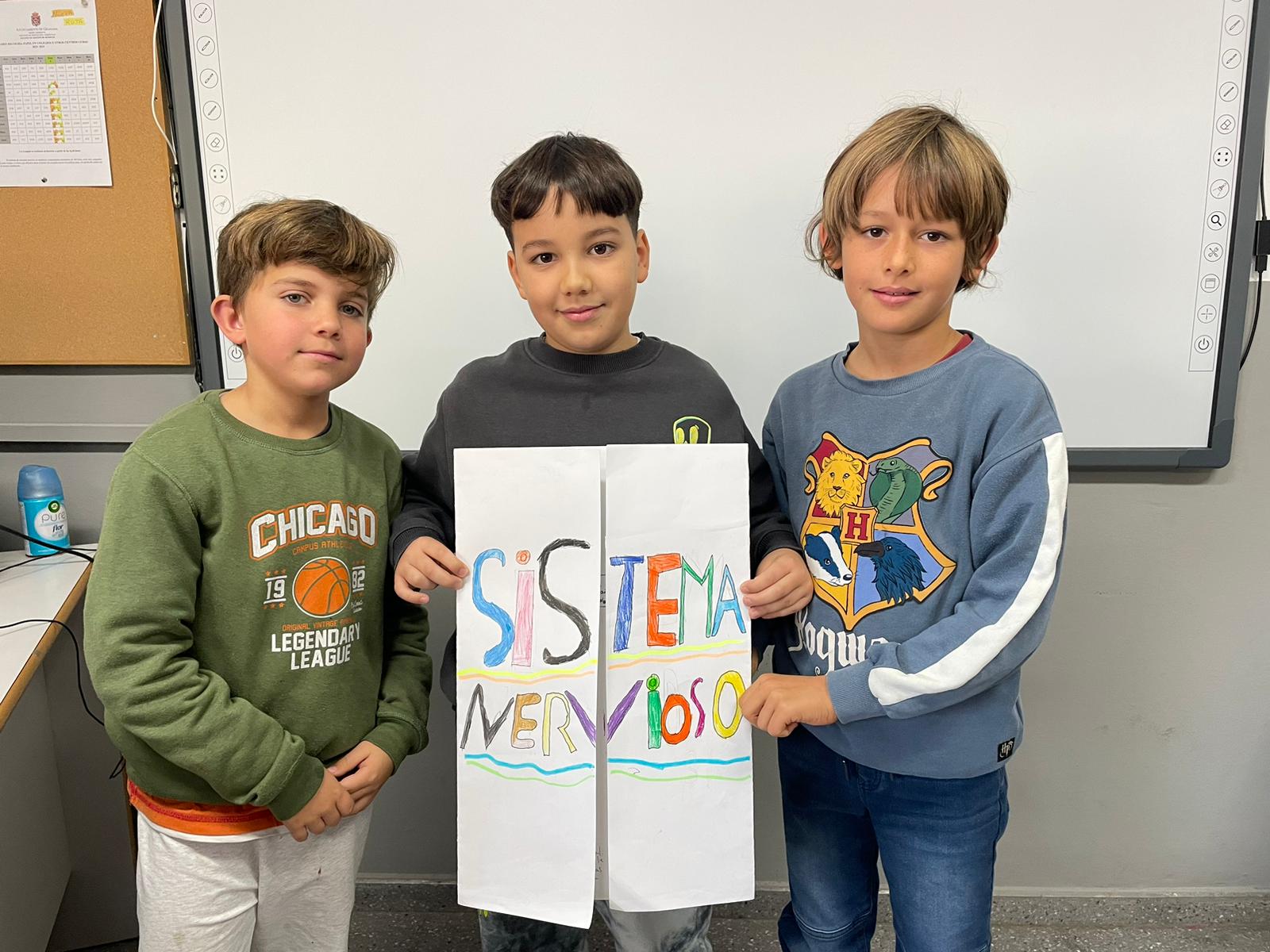 81128e8a-be27-41da-8ec8-89ff486a5f7e