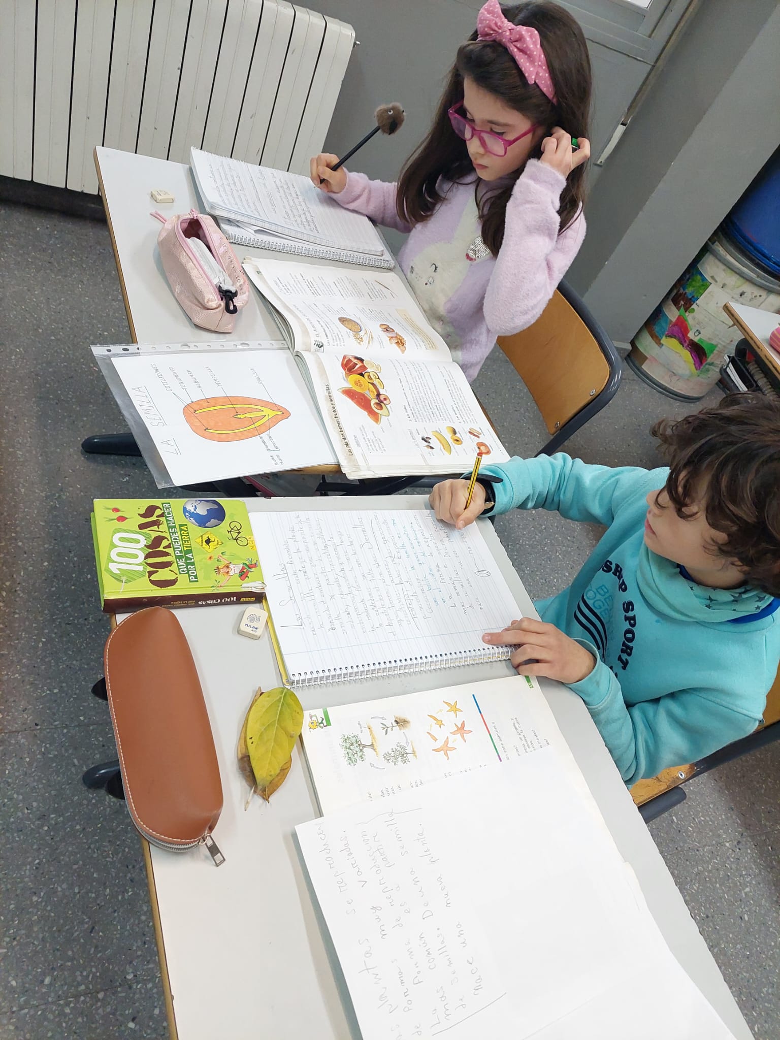 WhatsApp Image 2024-01-13 at 08.35.49-2