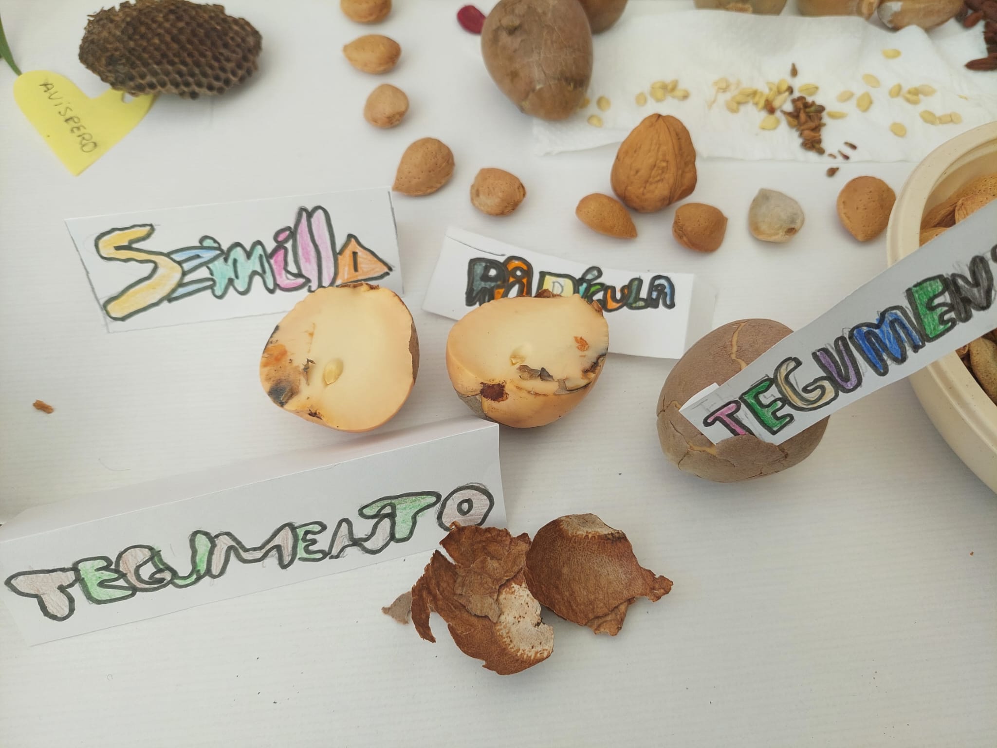 WhatsApp Image 2024-01-27 at 11.20.50-2