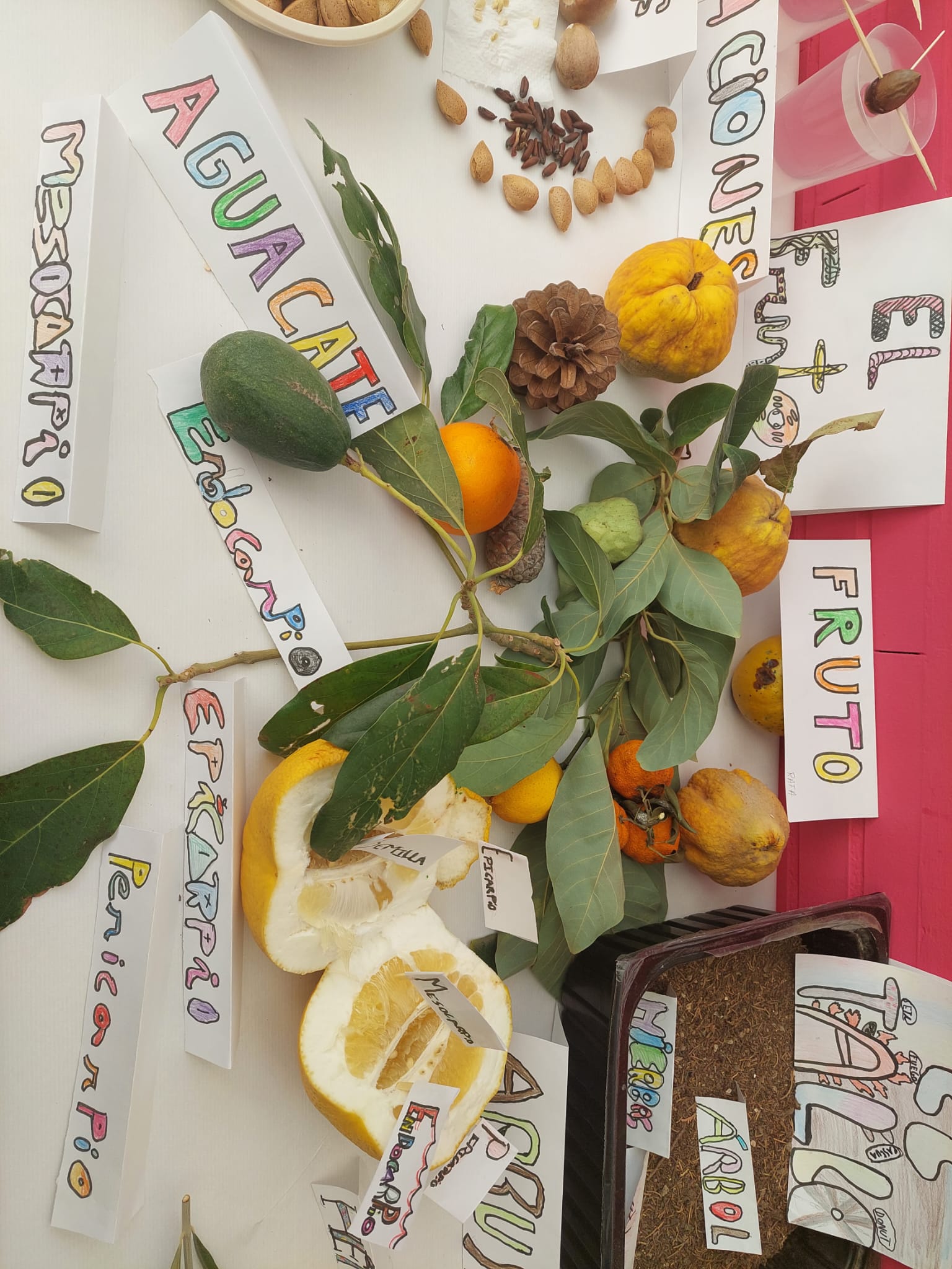 WhatsApp Image 2024-01-27 at 11.20.50-4