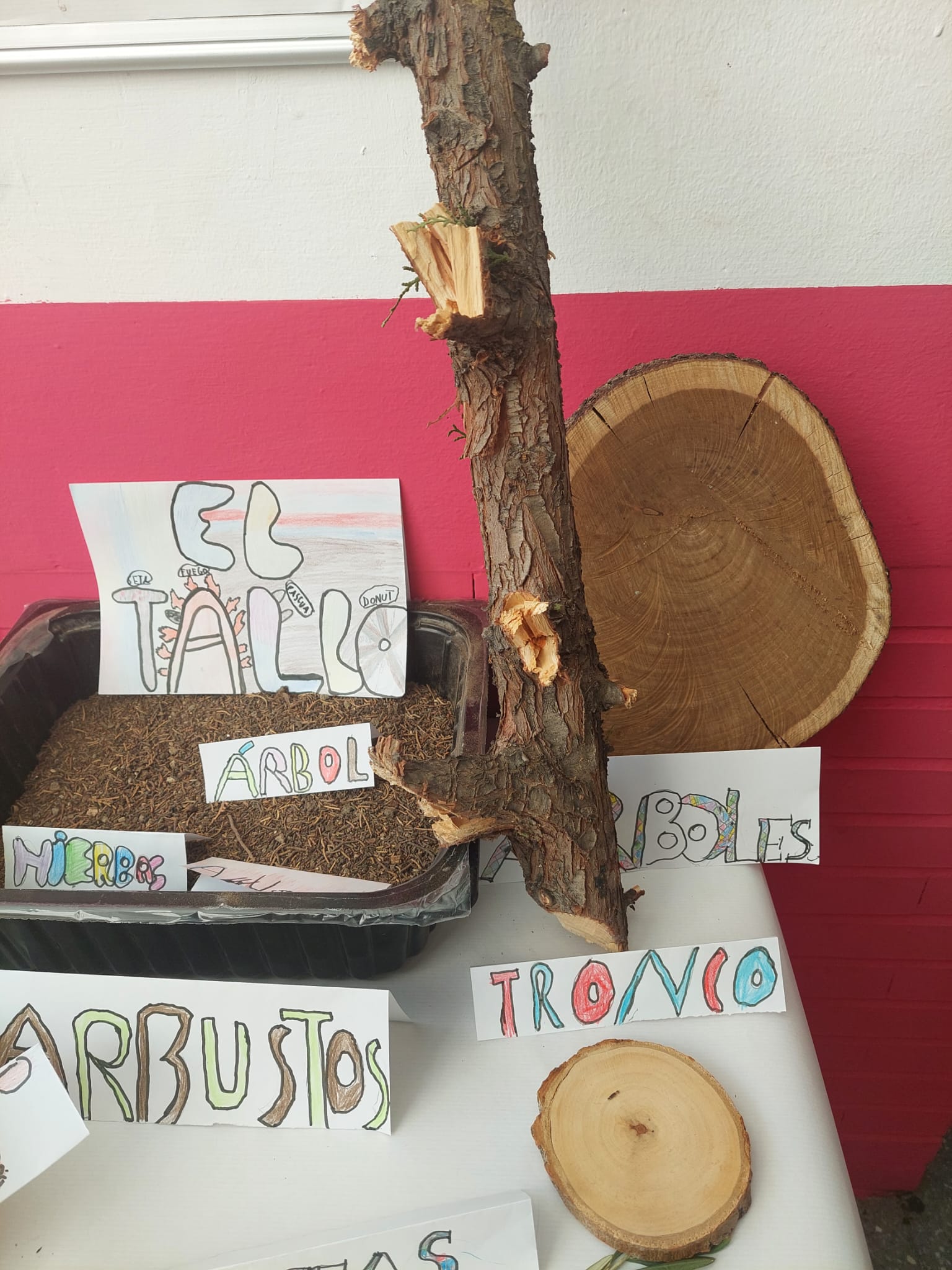 WhatsApp Image 2024-01-27 at 11.20.50