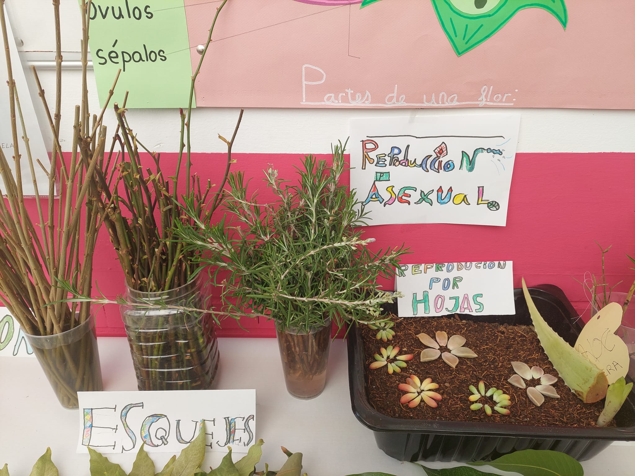 WhatsApp Image 2024-01-27 at 11.20.51-2