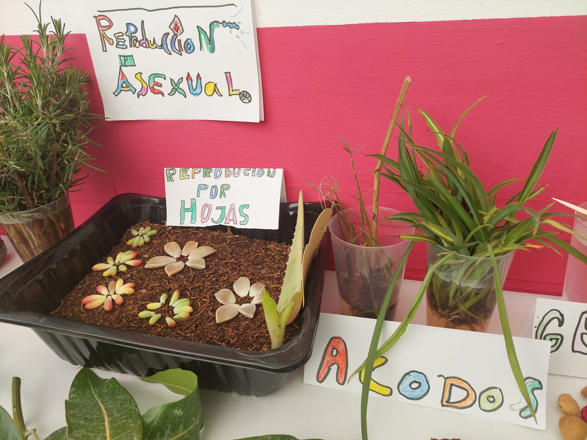 WhatsApp Image 2024-01-27 at 11.20.51-3