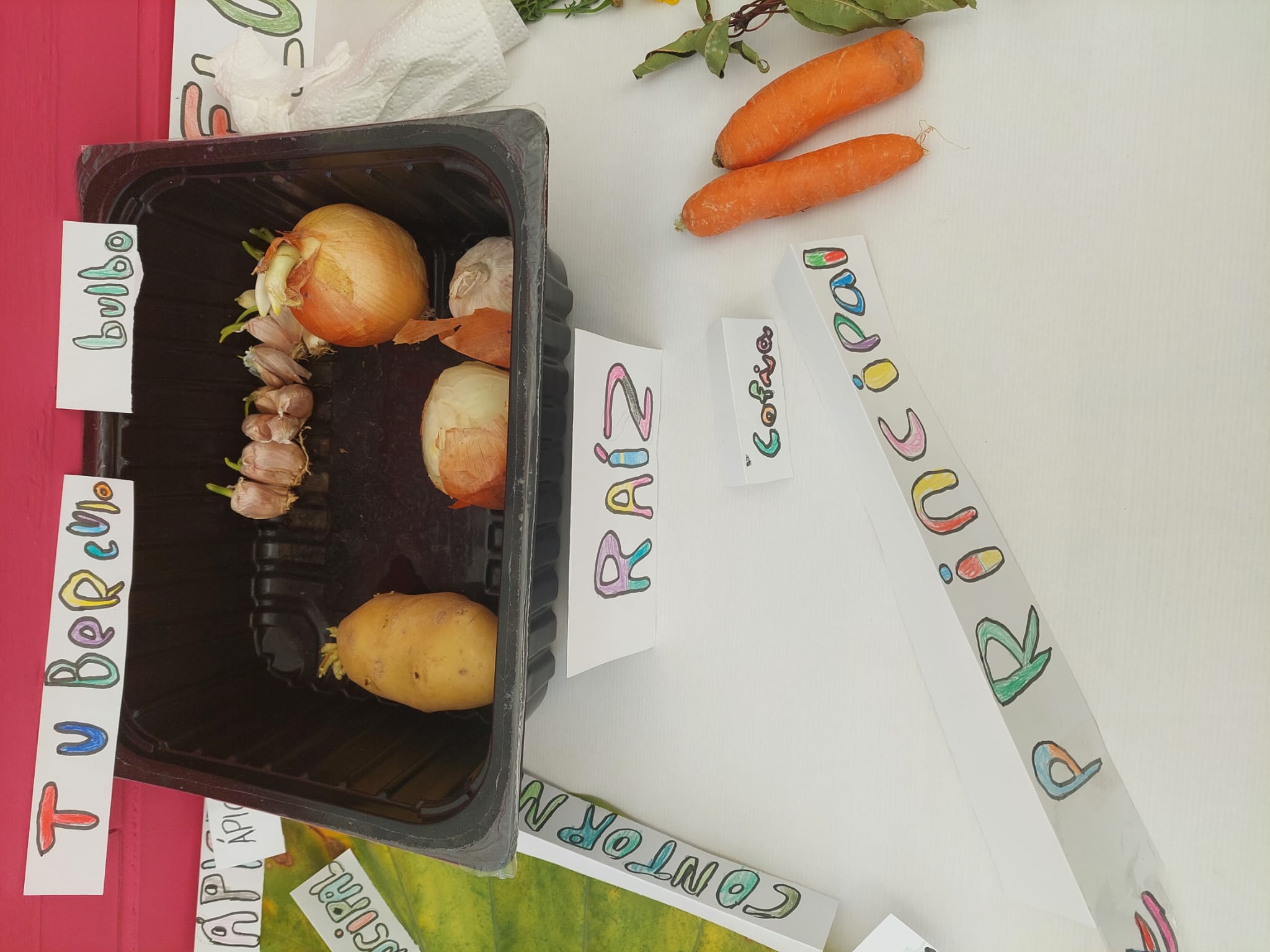 WhatsApp Image 2024-01-27 at 11.20.51