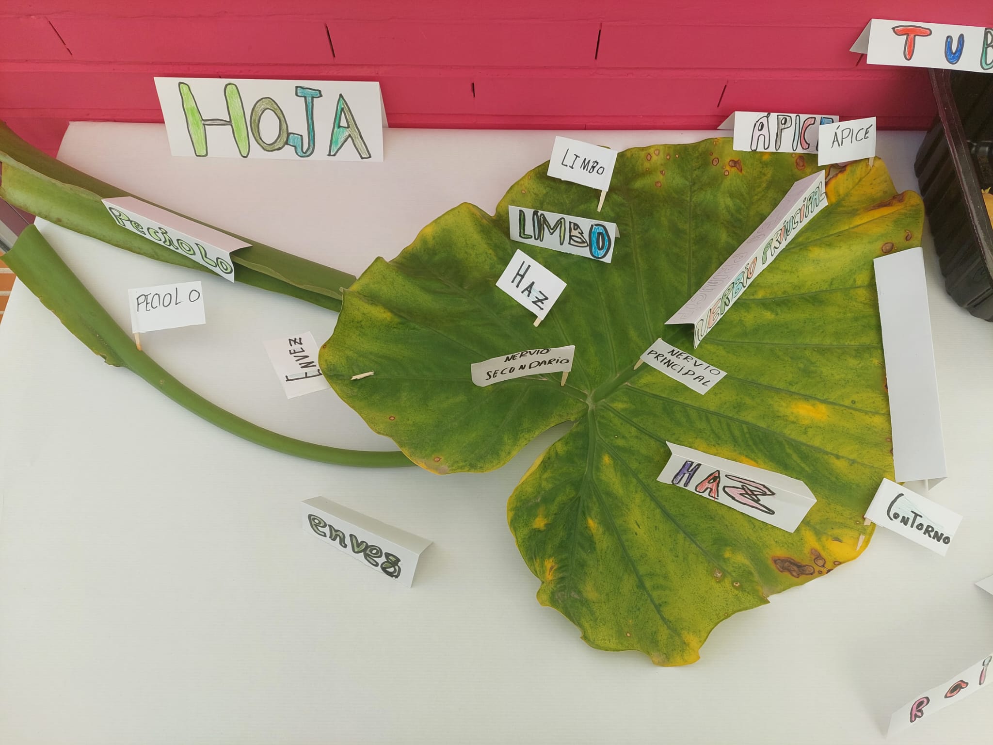 WhatsApp Image 2024-01-27 at 11.20.52-2