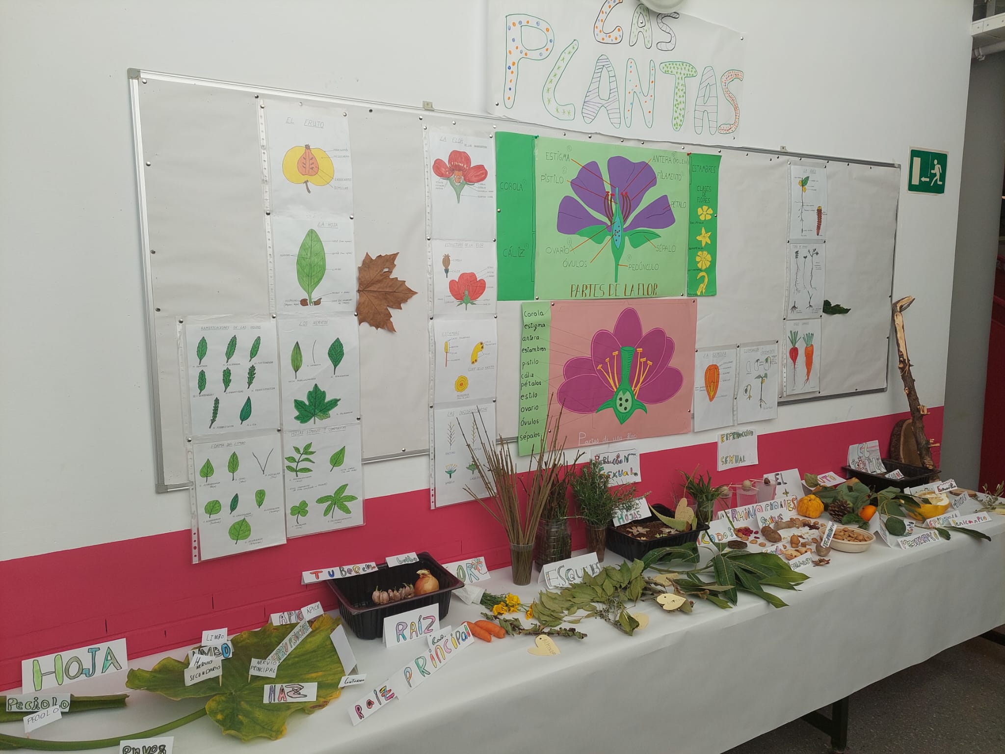 WhatsApp Image 2024-01-27 at 11.20.52-3