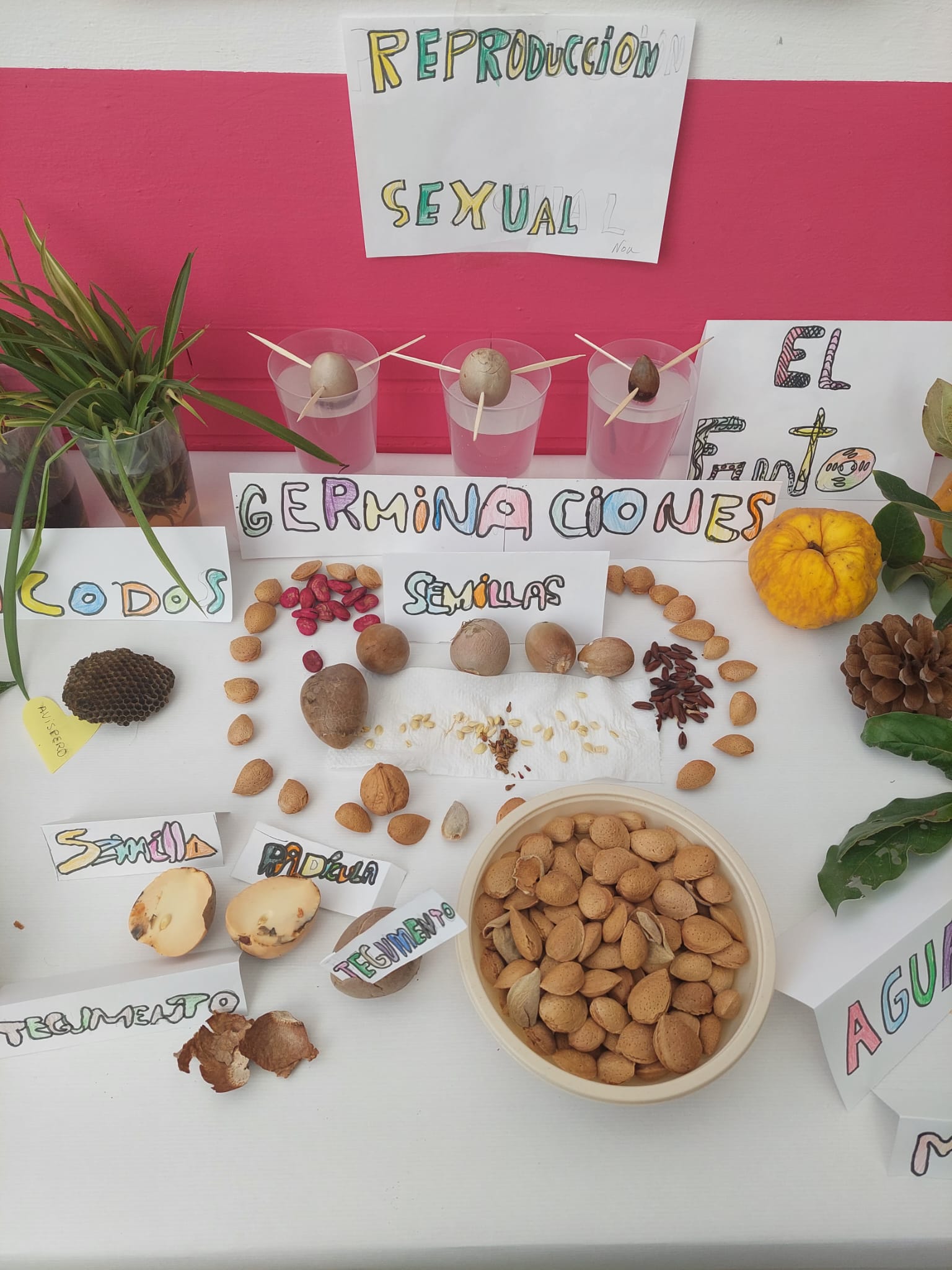 WhatsApp Image 2024-01-27 at 11.20.52