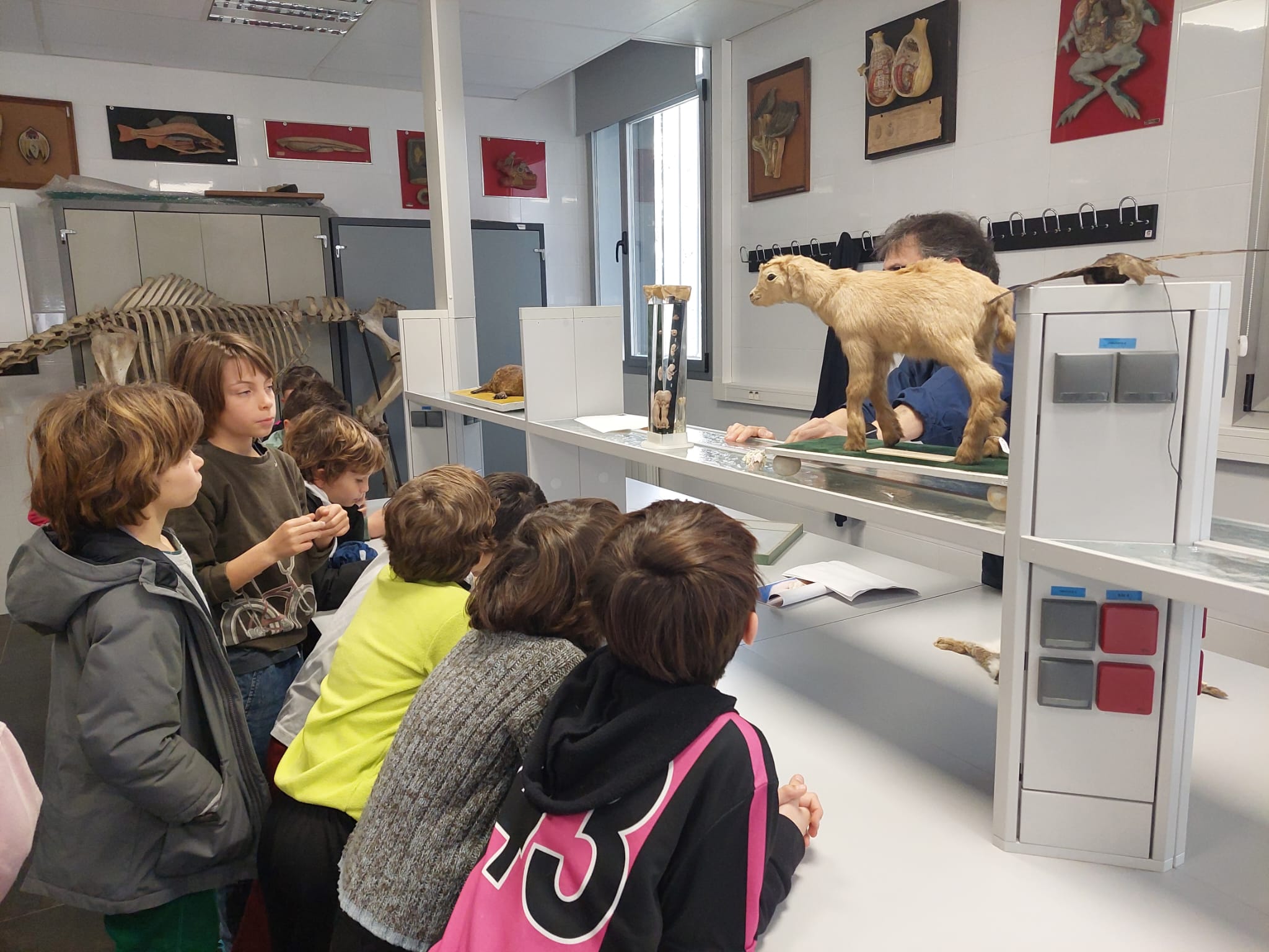 WhatsApp Image 2024-02-11 at 08.54.31-2