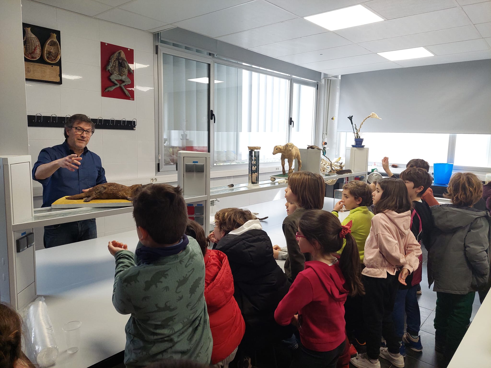 WhatsApp Image 2024-02-11 at 08.54.31-3