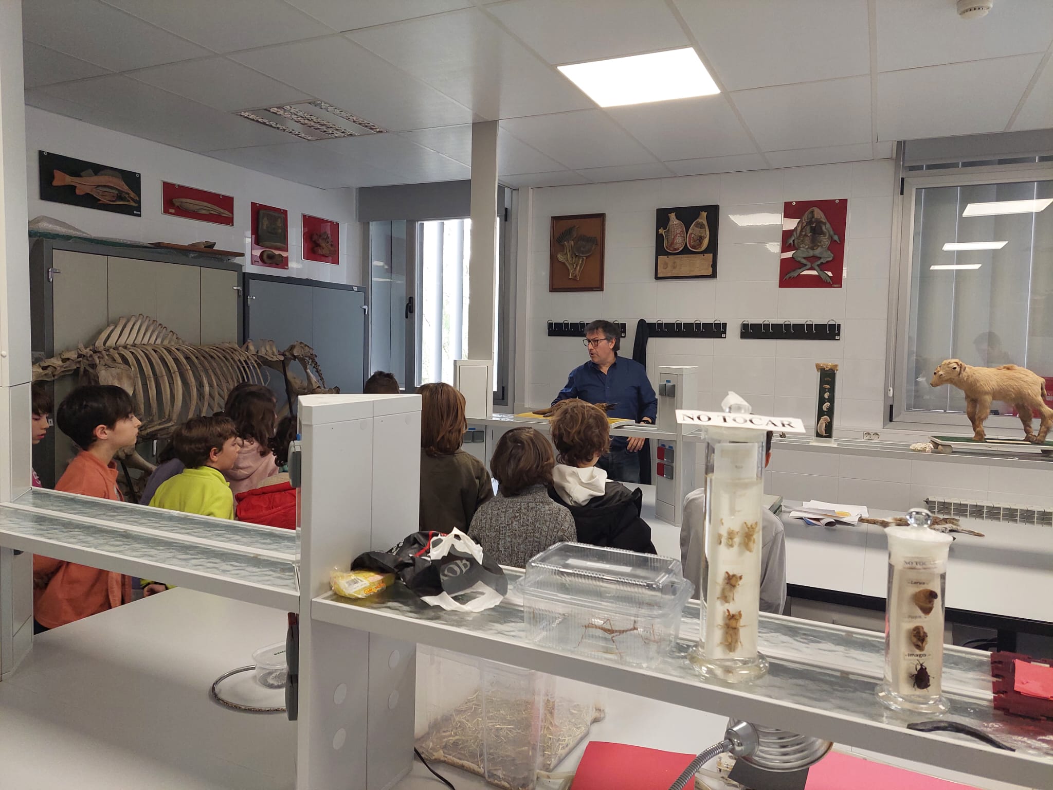 WhatsApp Image 2024-02-11 at 08.54.31-4