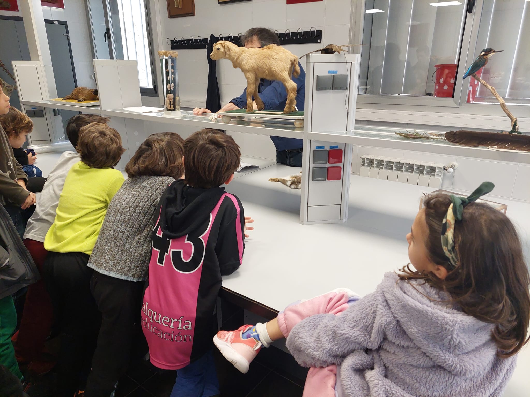 WhatsApp Image 2024-02-11 at 08.54.31