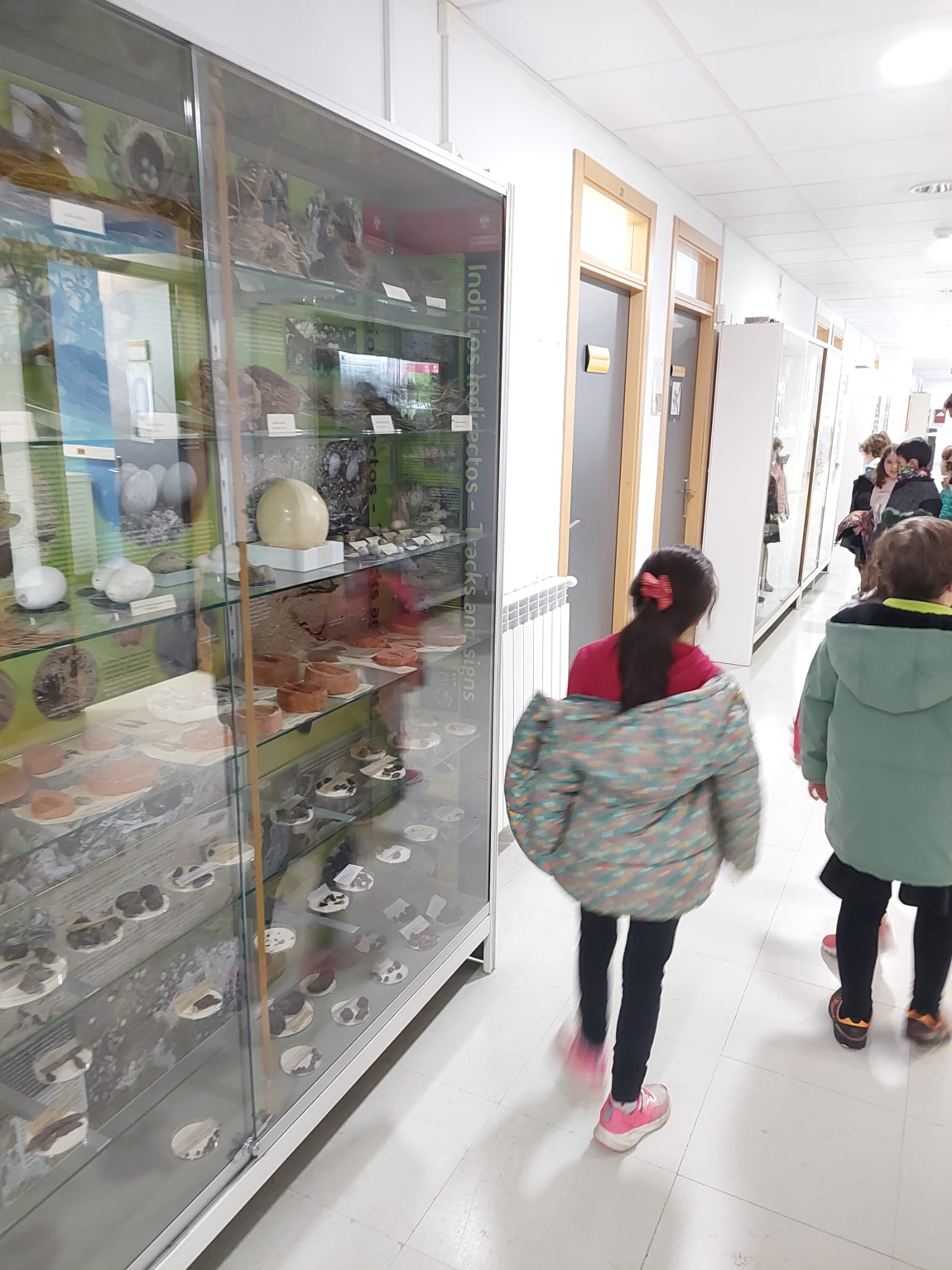 WhatsApp Image 2024-02-11 at 08.54.32-2