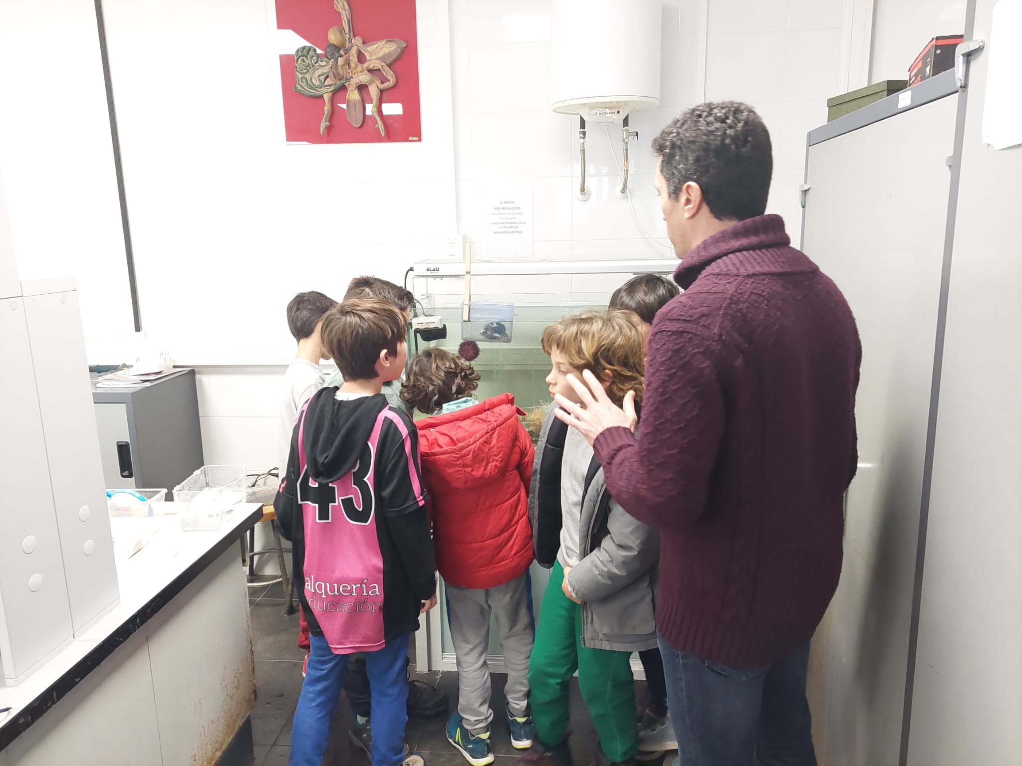 WhatsApp Image 2024-02-11 at 08.54.32-3