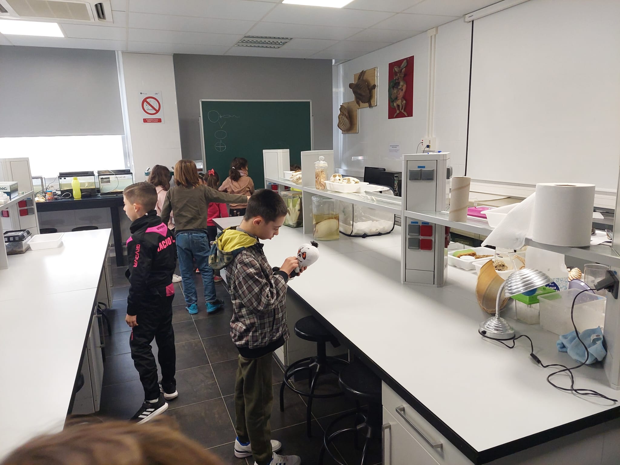 WhatsApp Image 2024-02-11 at 08.54.32-4