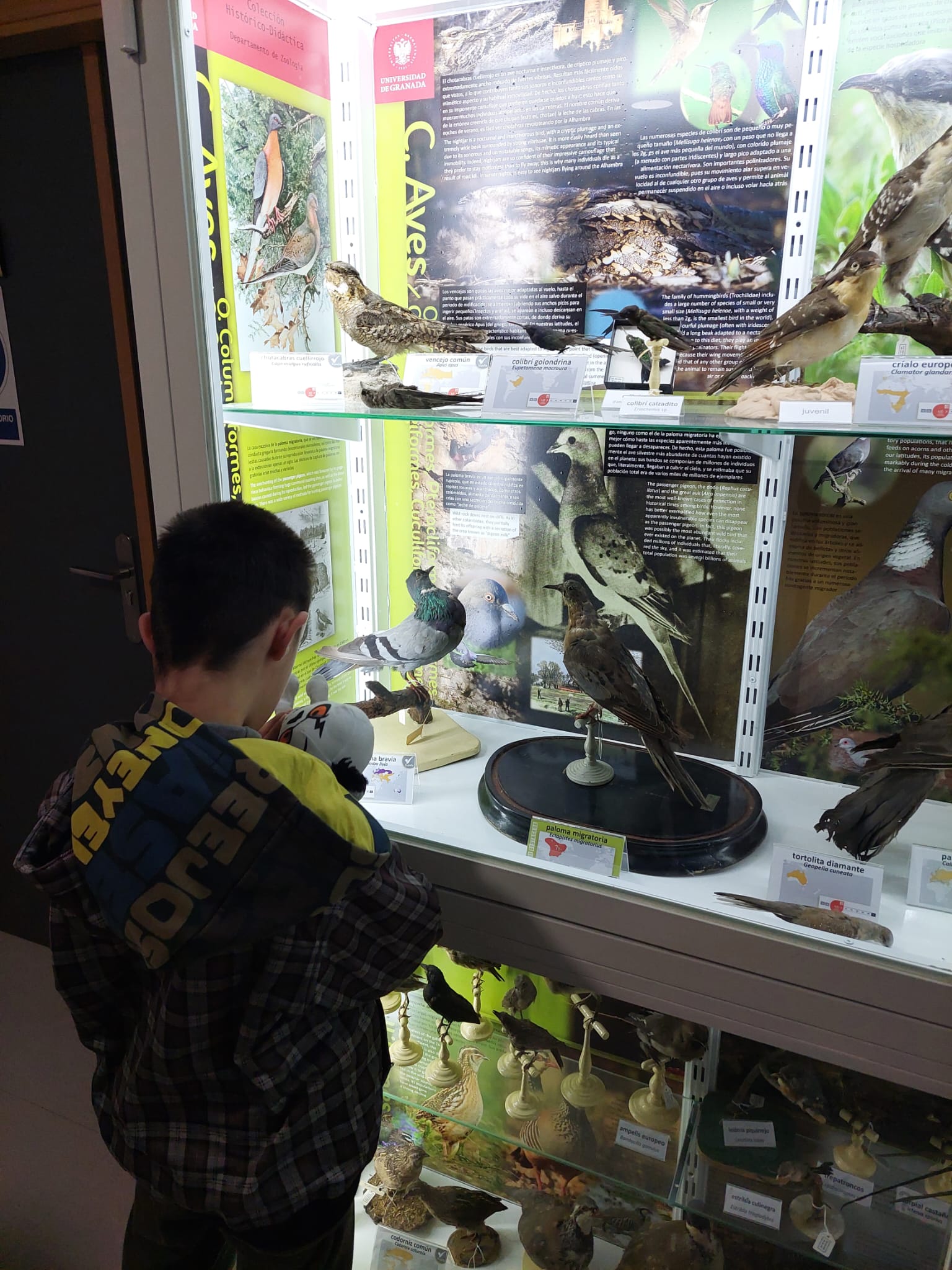 WhatsApp Image 2024-02-11 at 08.54.32