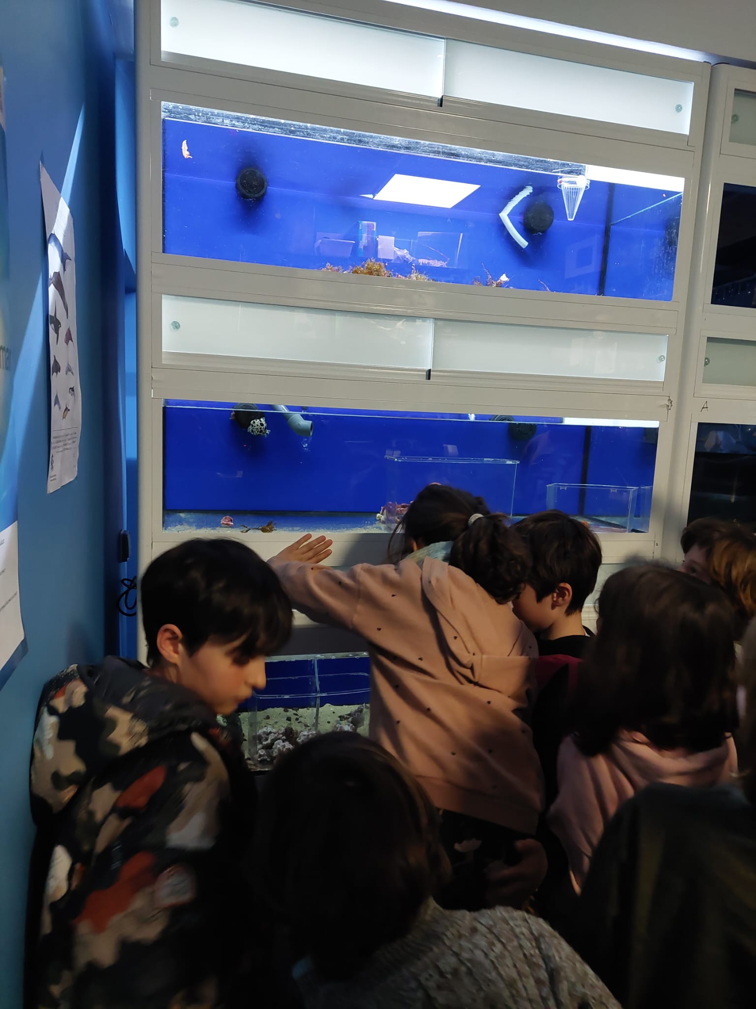 WhatsApp Image 2024-02-11 at 08.54.33