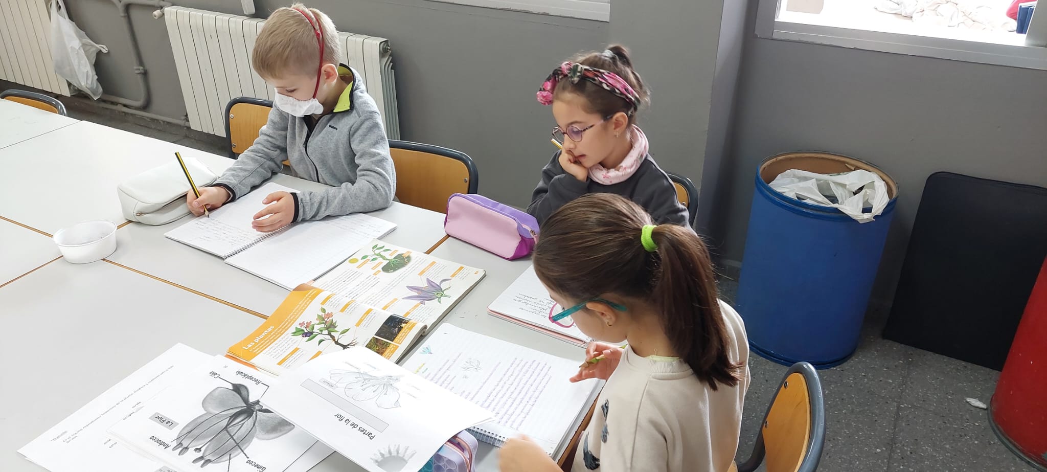 WhatsApp Image 2024-10-26 at 07.43.27