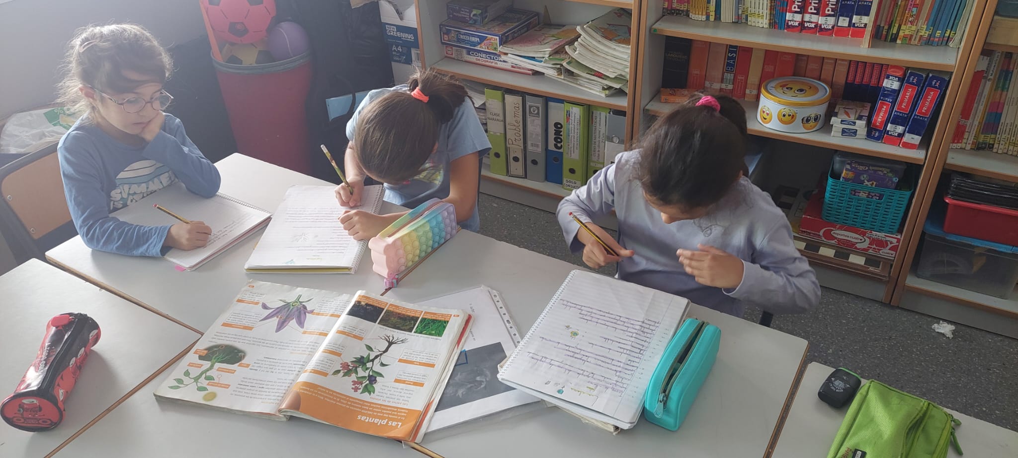 WhatsApp Image 2024-10-26 at 07.43.35 (2)