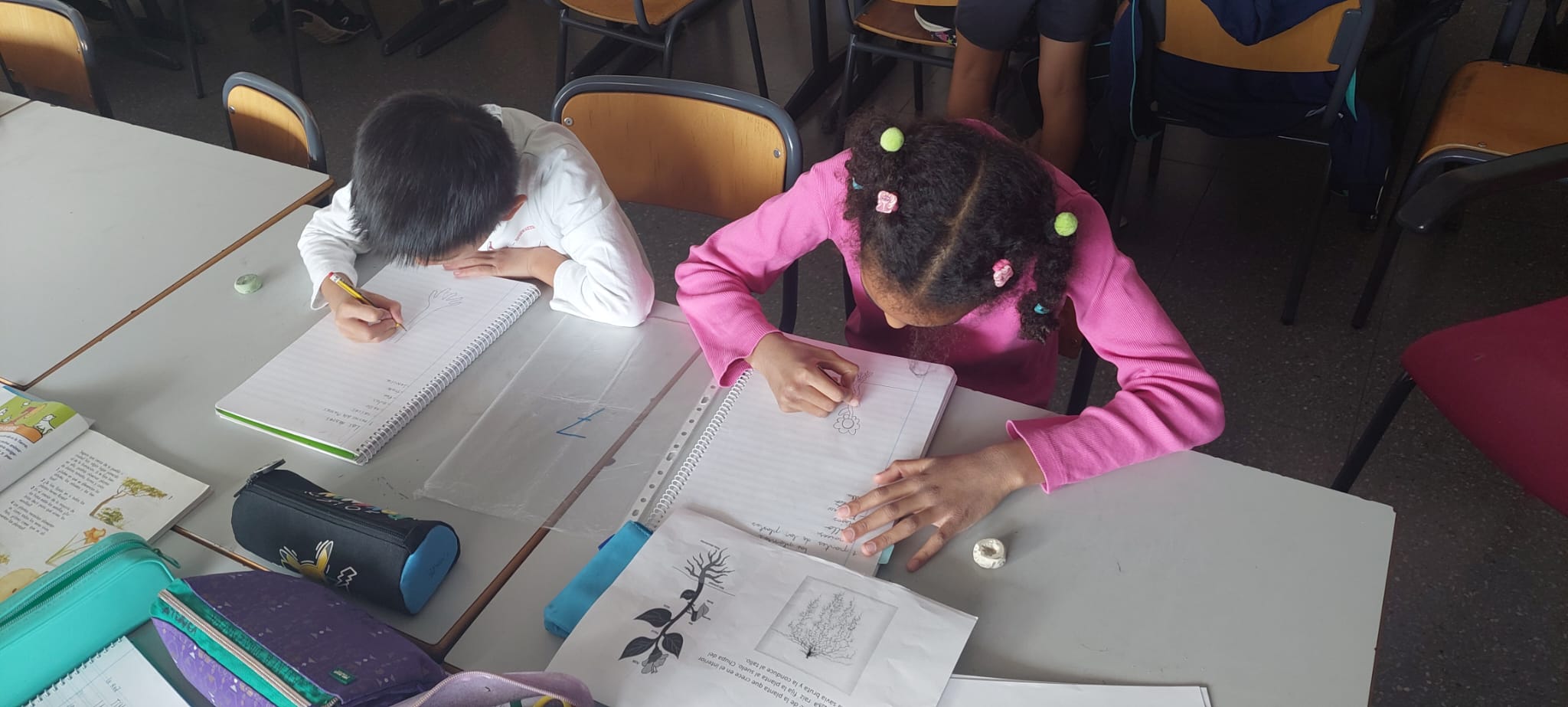 WhatsApp Image 2024-10-26 at 07.43.36 (2) WhatsApp Image 2024-10-26 at 07.43.36 (2)