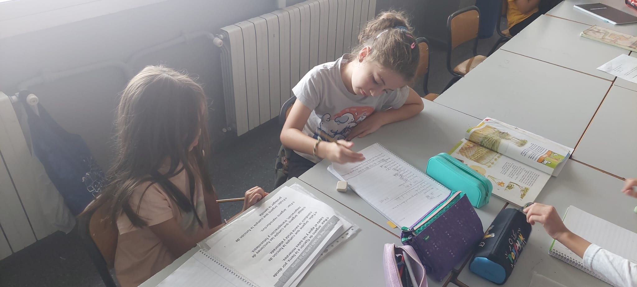 WhatsApp Image 2024-10-26 at 07.43.36