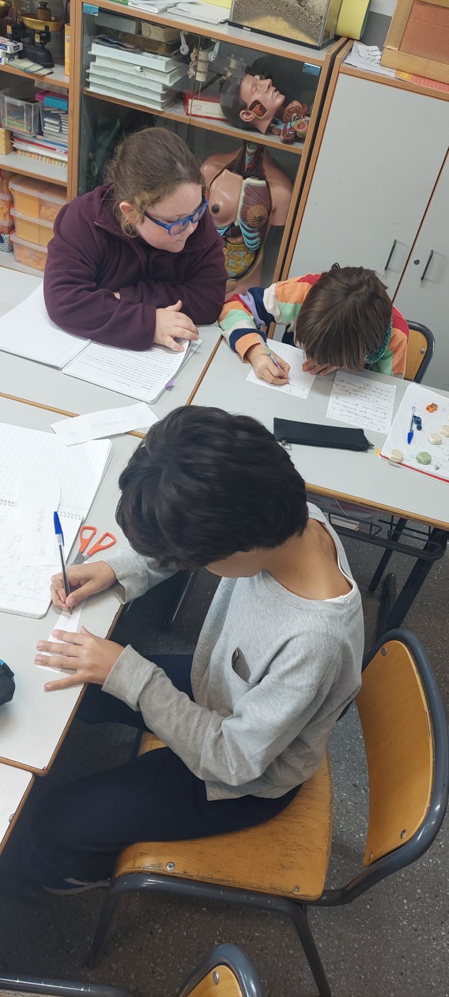 WhatsApp Image 2024-11-15 at 20.58.43