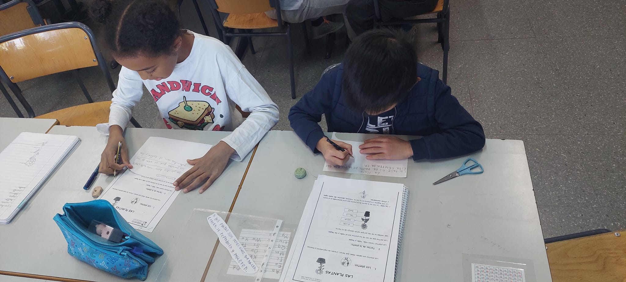 WhatsApp Image 2024-11-15 at 20.58.44 (2)