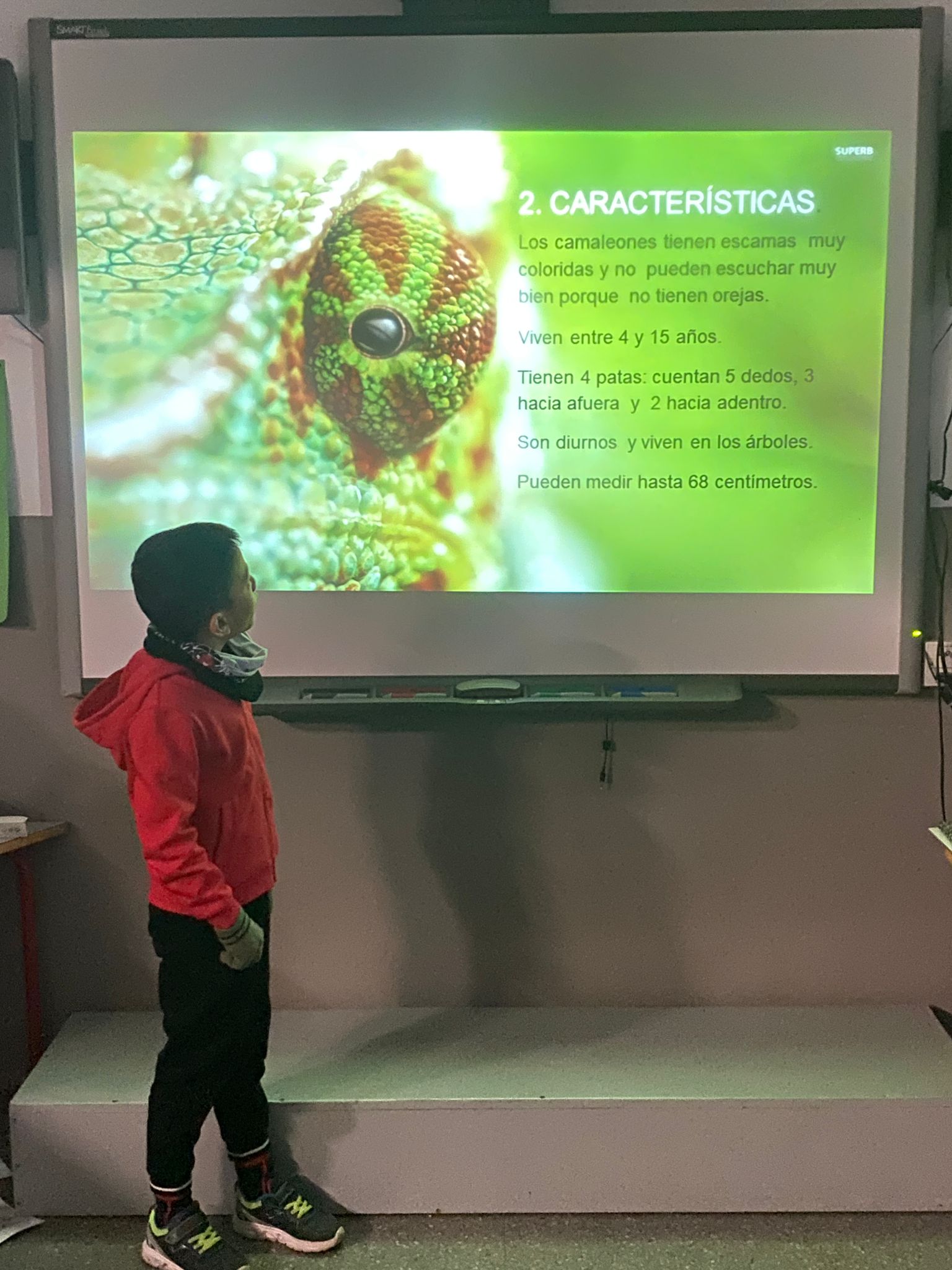 WhatsApp Image 2025-01-10 at 13.08.05-3