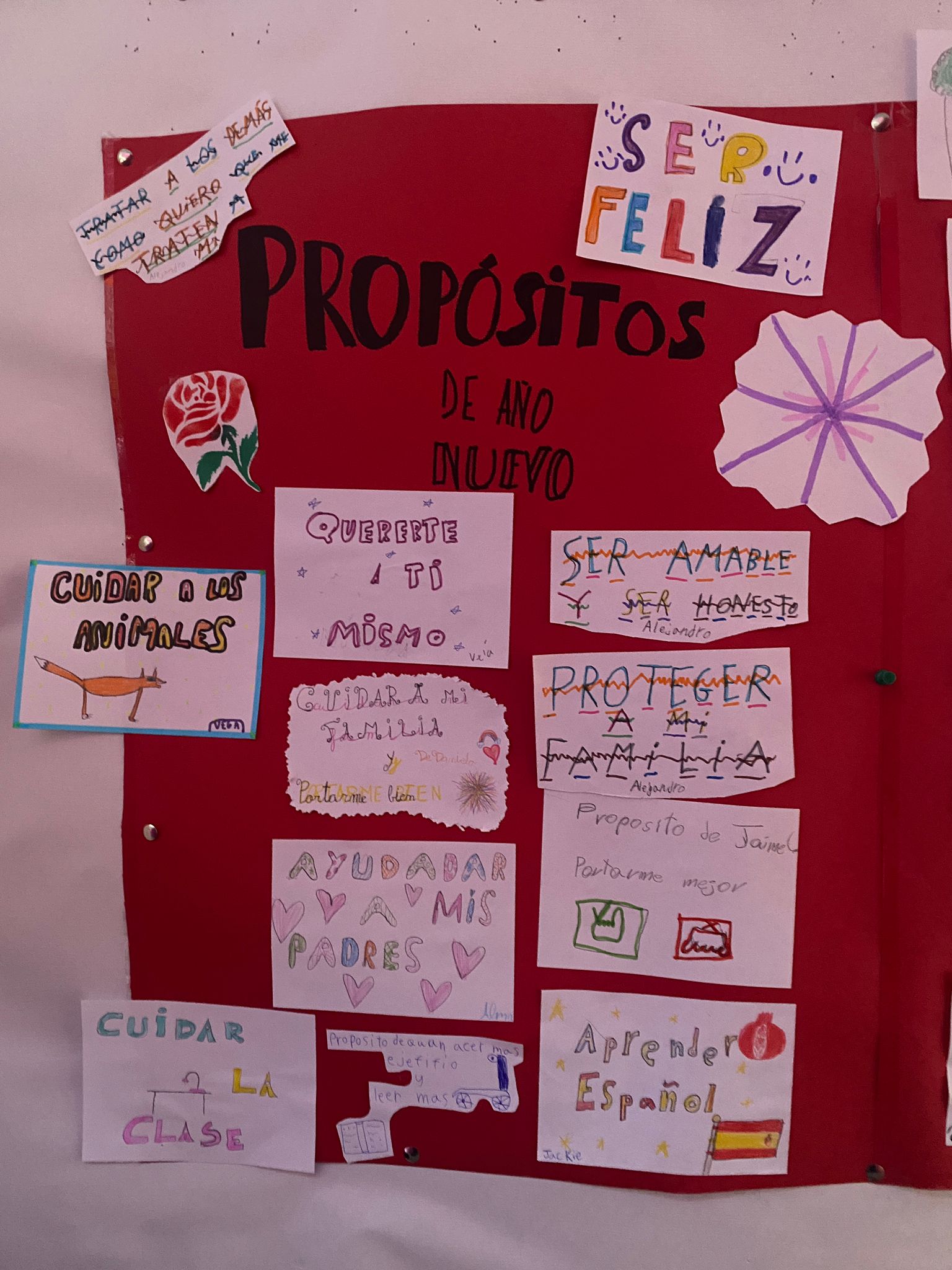 WhatsApp Image 2025-01-10 at 13.08.46