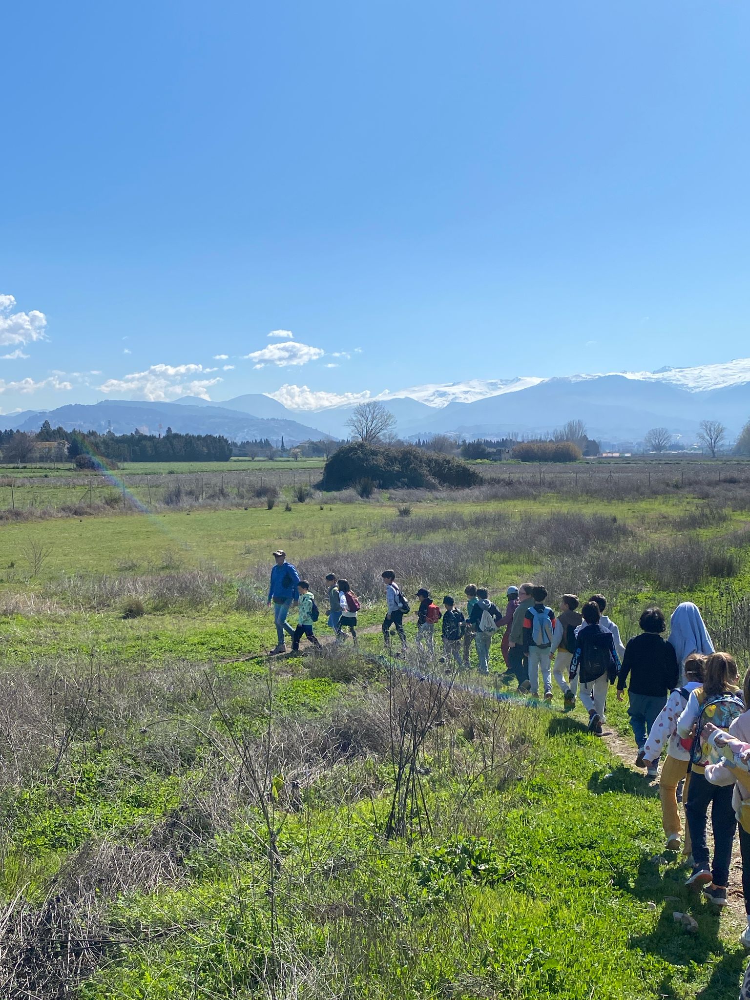 WhatsApp Image 2025-03-28 at 16.30.57 (3)