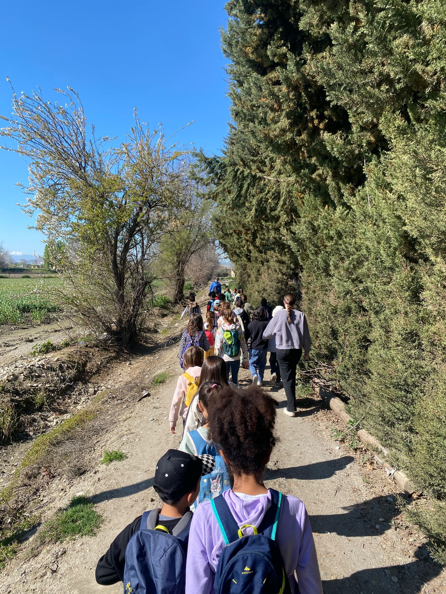 WhatsApp Image 2025-03-28 at 16.30.58