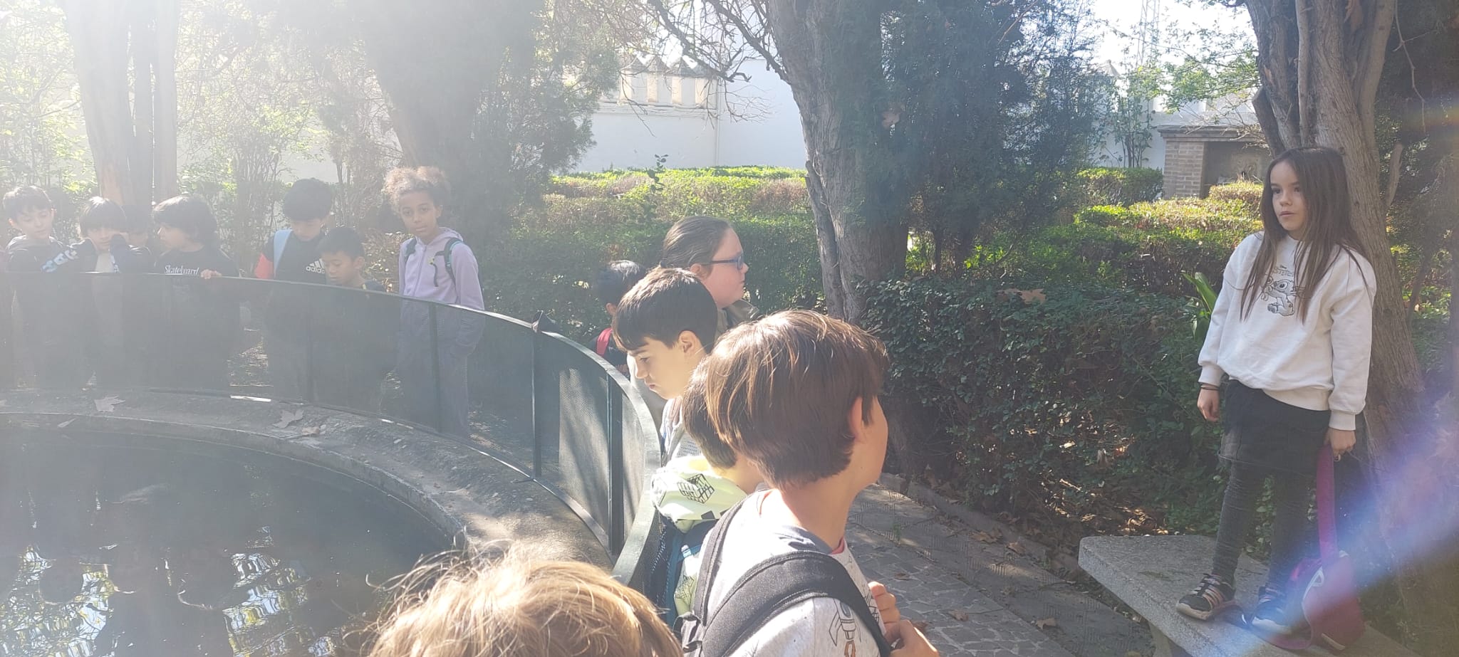 WhatsApp Image 2025-03-29 at 07.30.29