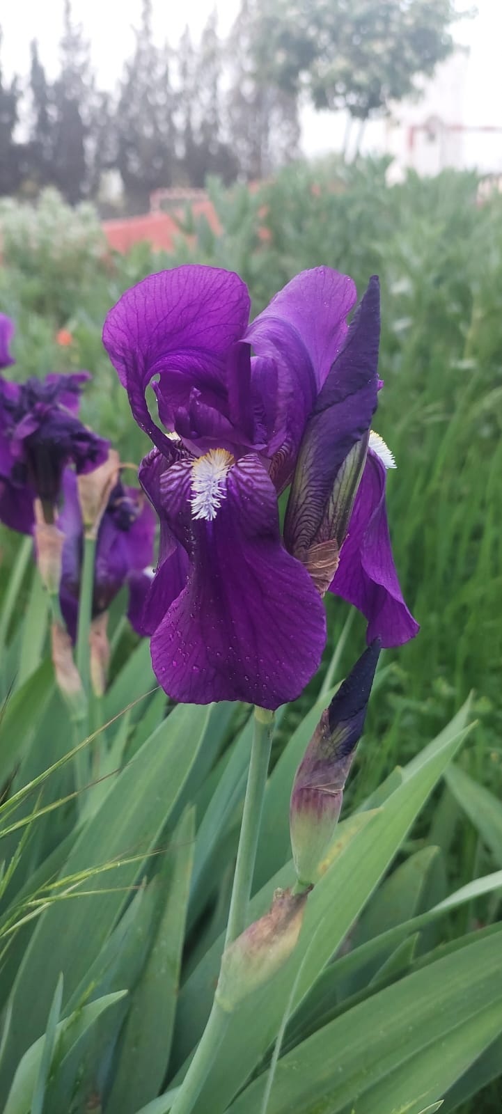 WhatsApp Image 2025-04-11 at 18.50.31 (1)