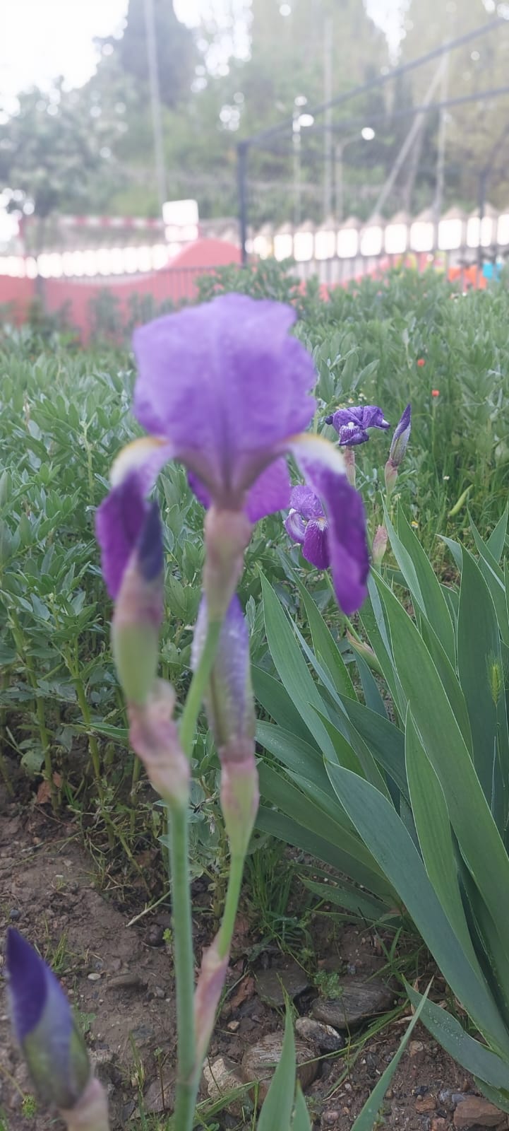 WhatsApp Image 2025-04-11 at 18.50.32 (1)