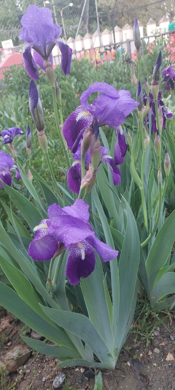 WhatsApp Image 2025-04-11 at 18.50.32 (2)