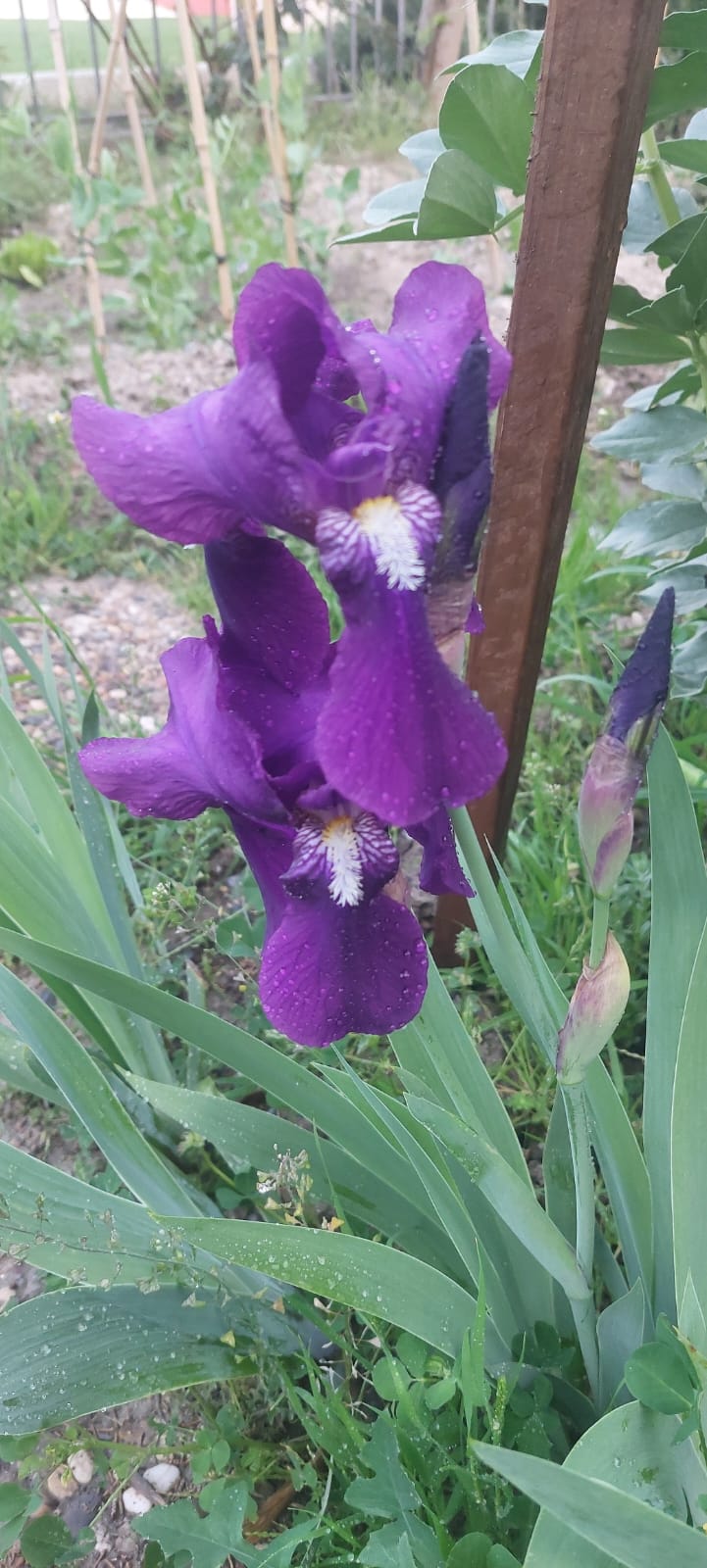 WhatsApp Image 2025-04-11 at 18.50.32 (3)