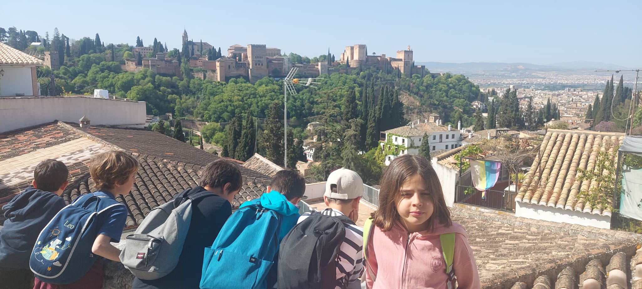 WhatsApp Image 2025-04-25 at 22.31.58