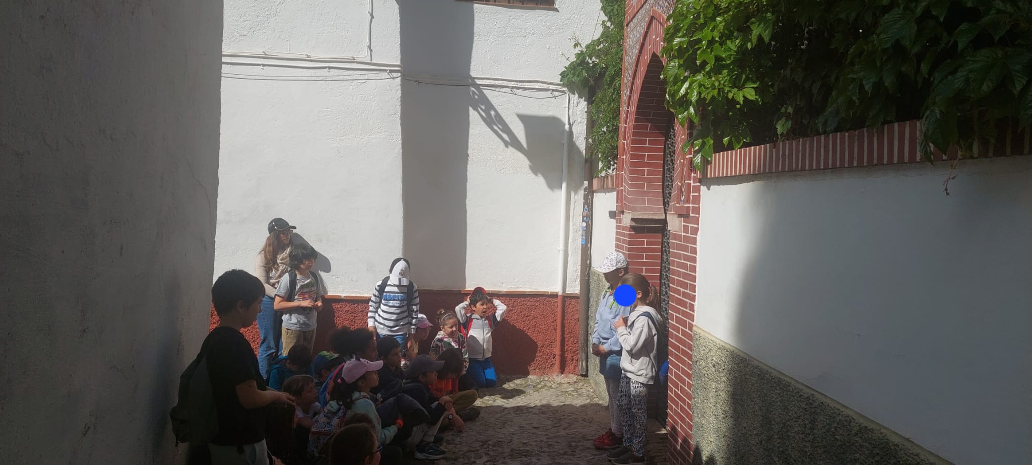 WhatsApp Image 2025-04-25 at 22.31.59 (3)