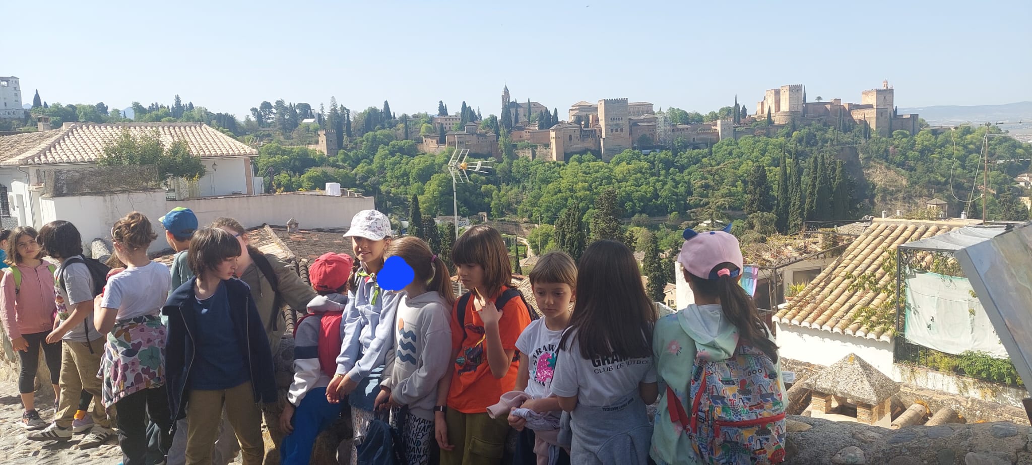 WhatsApp Image 2025-04-25 at 22.31.59