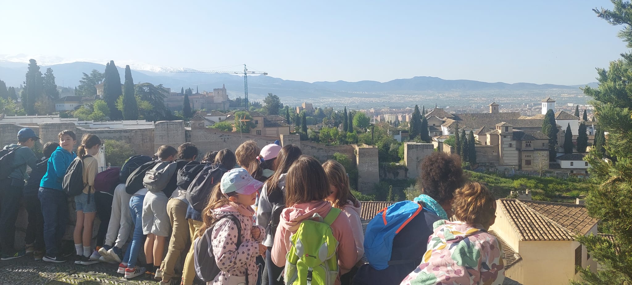 WhatsApp Image 2025-04-25 at 22.32.24